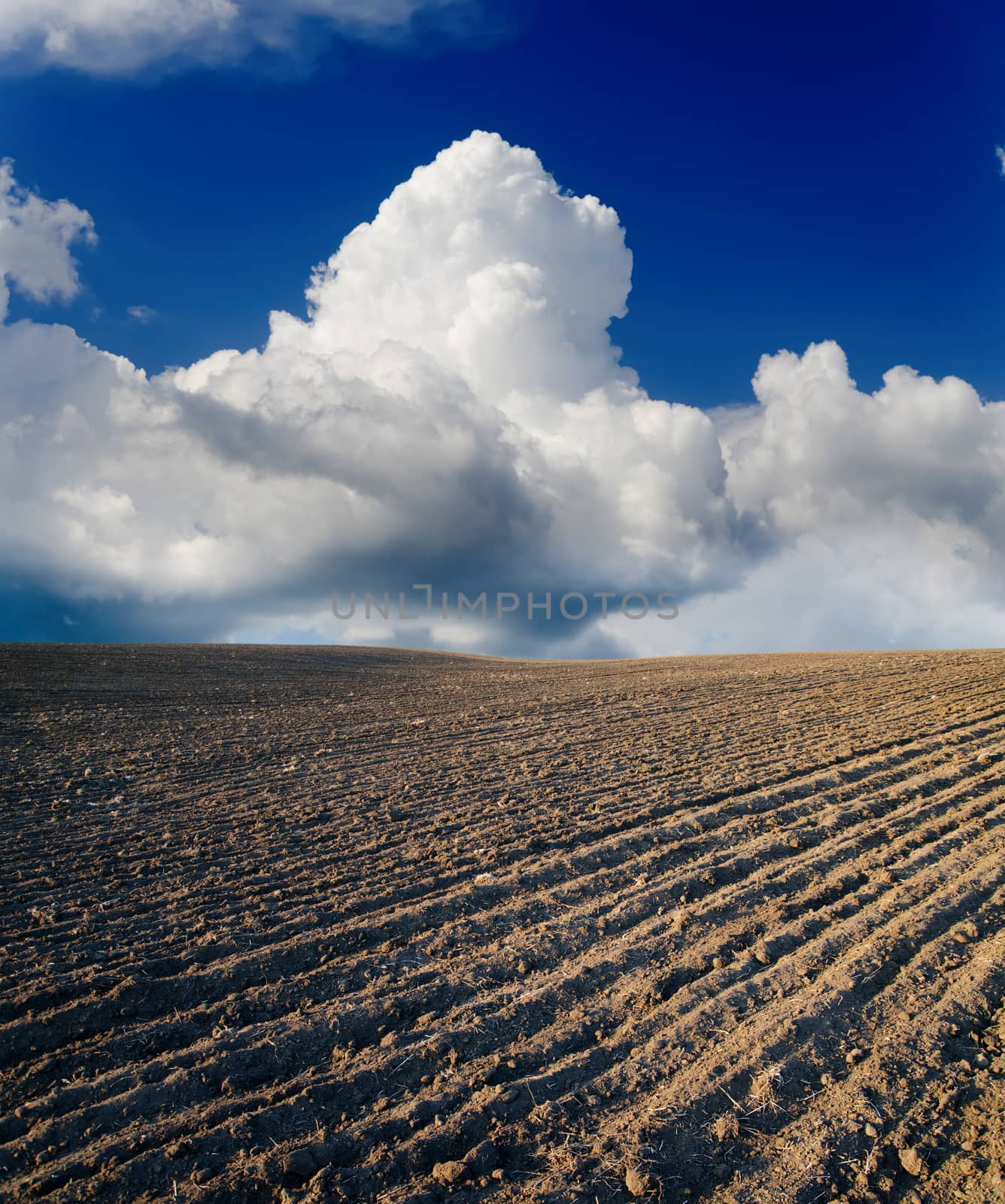 black ploughed field by mycola