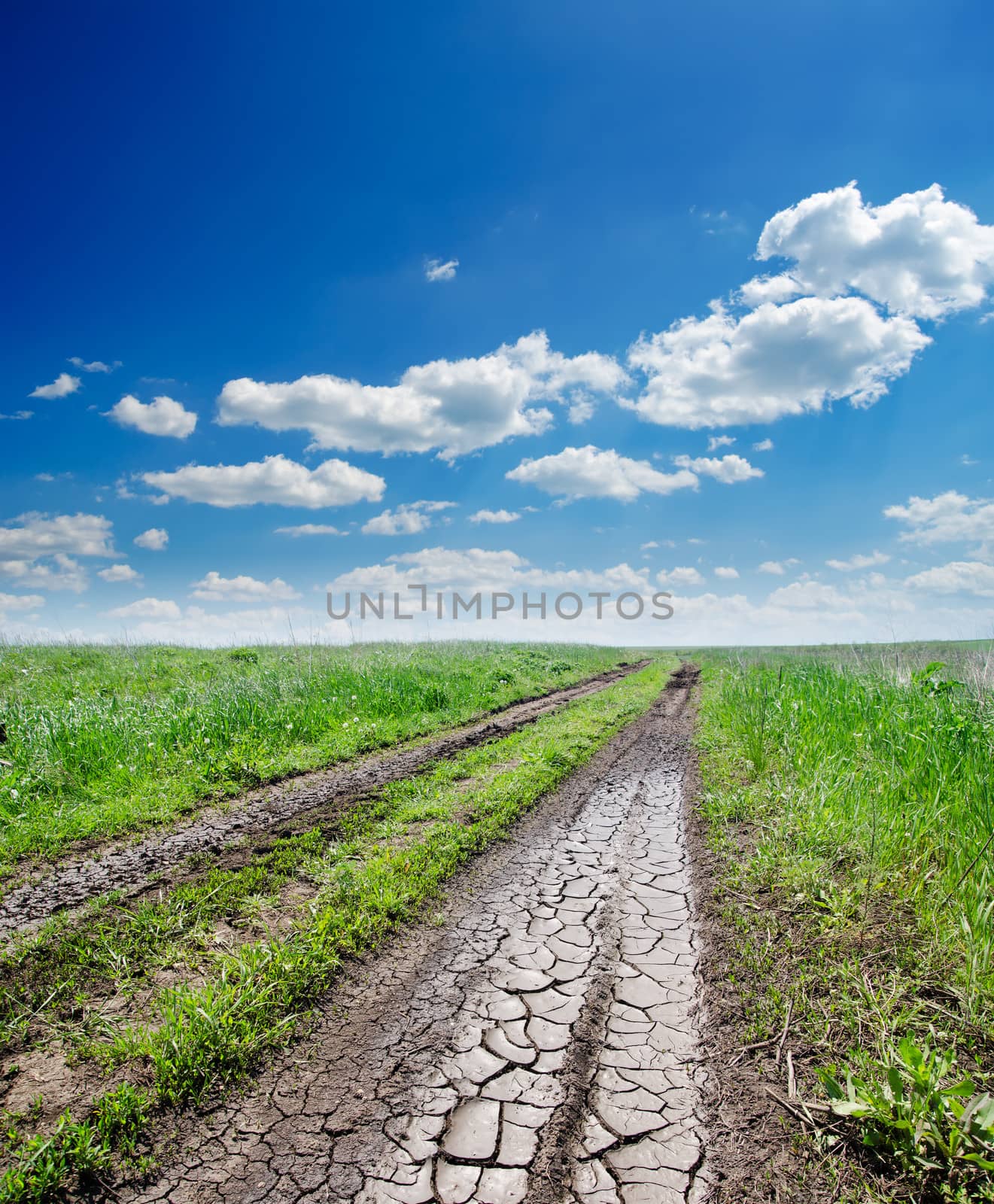 cracked rural road in green grass by mycola