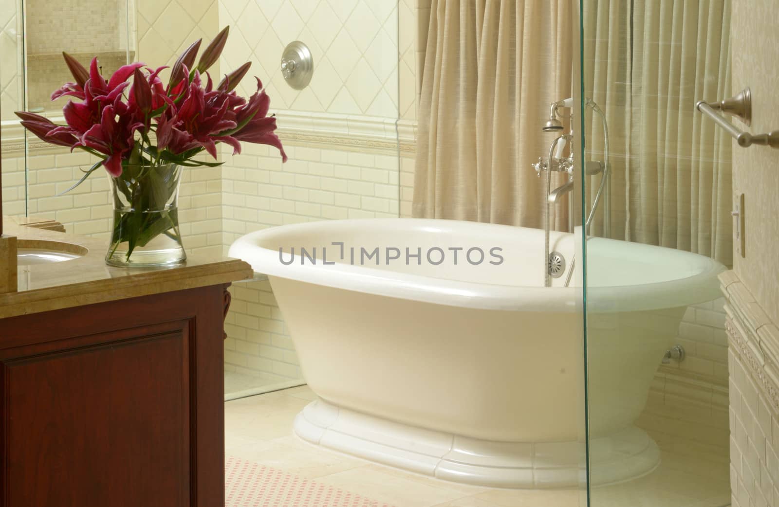 modern bathroom interior with luxurious bathtub 