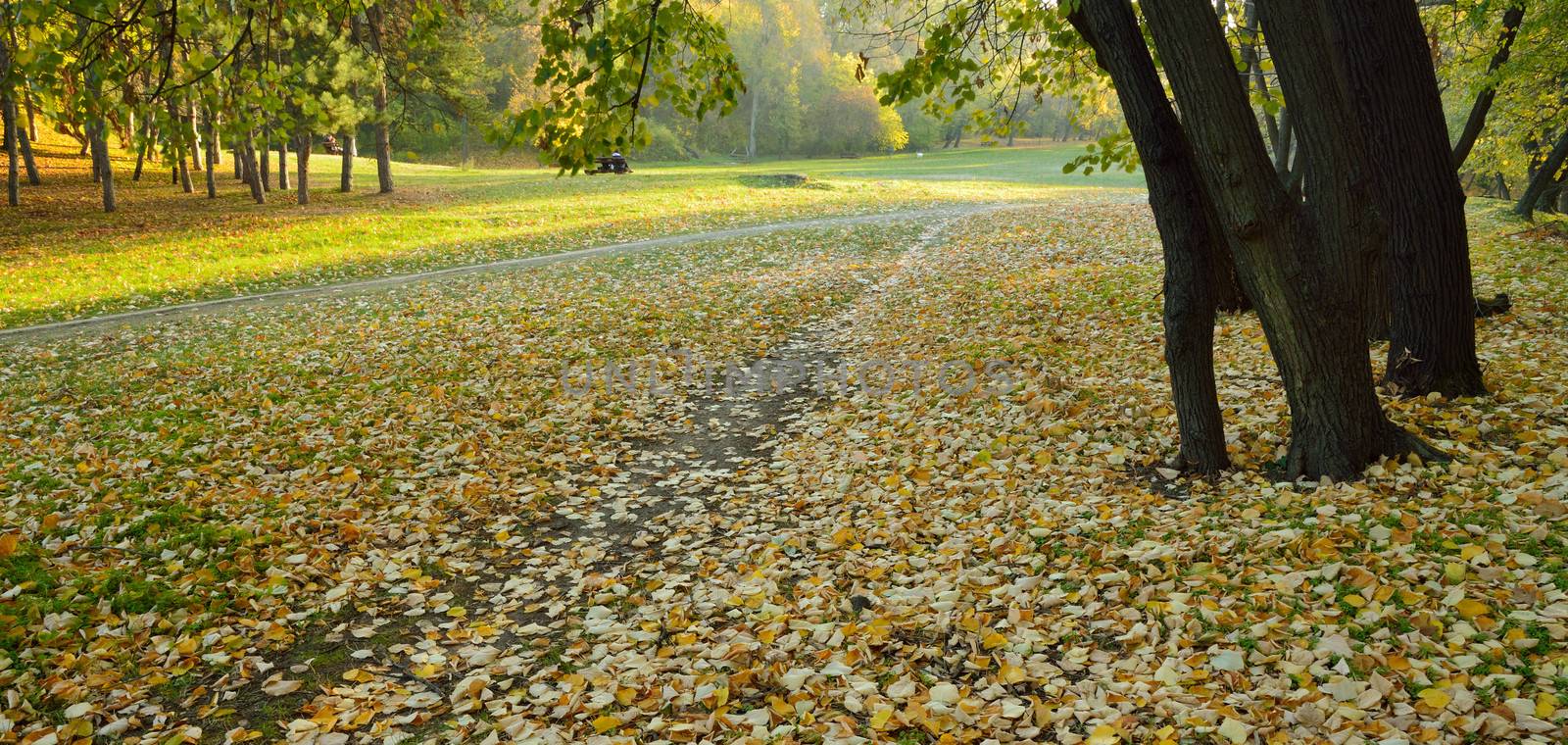 Autumn in park by zagart36