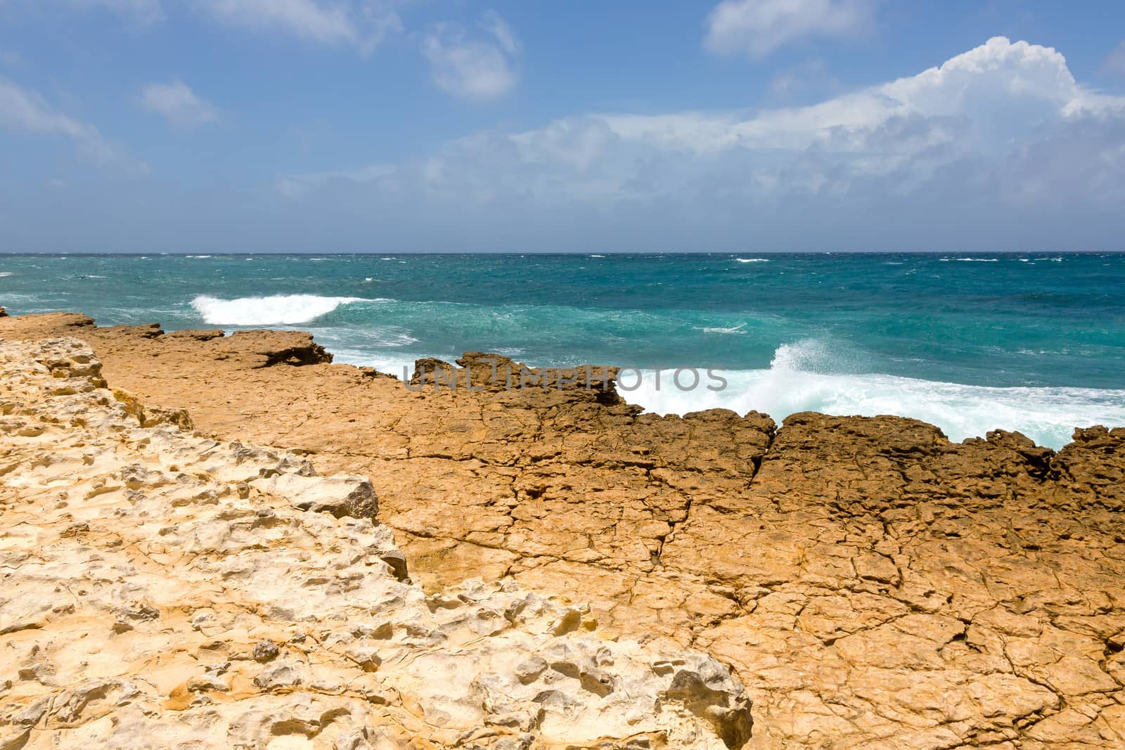 Rocky Limestone Atlantic Coastline at Half Moon Bay Antigua