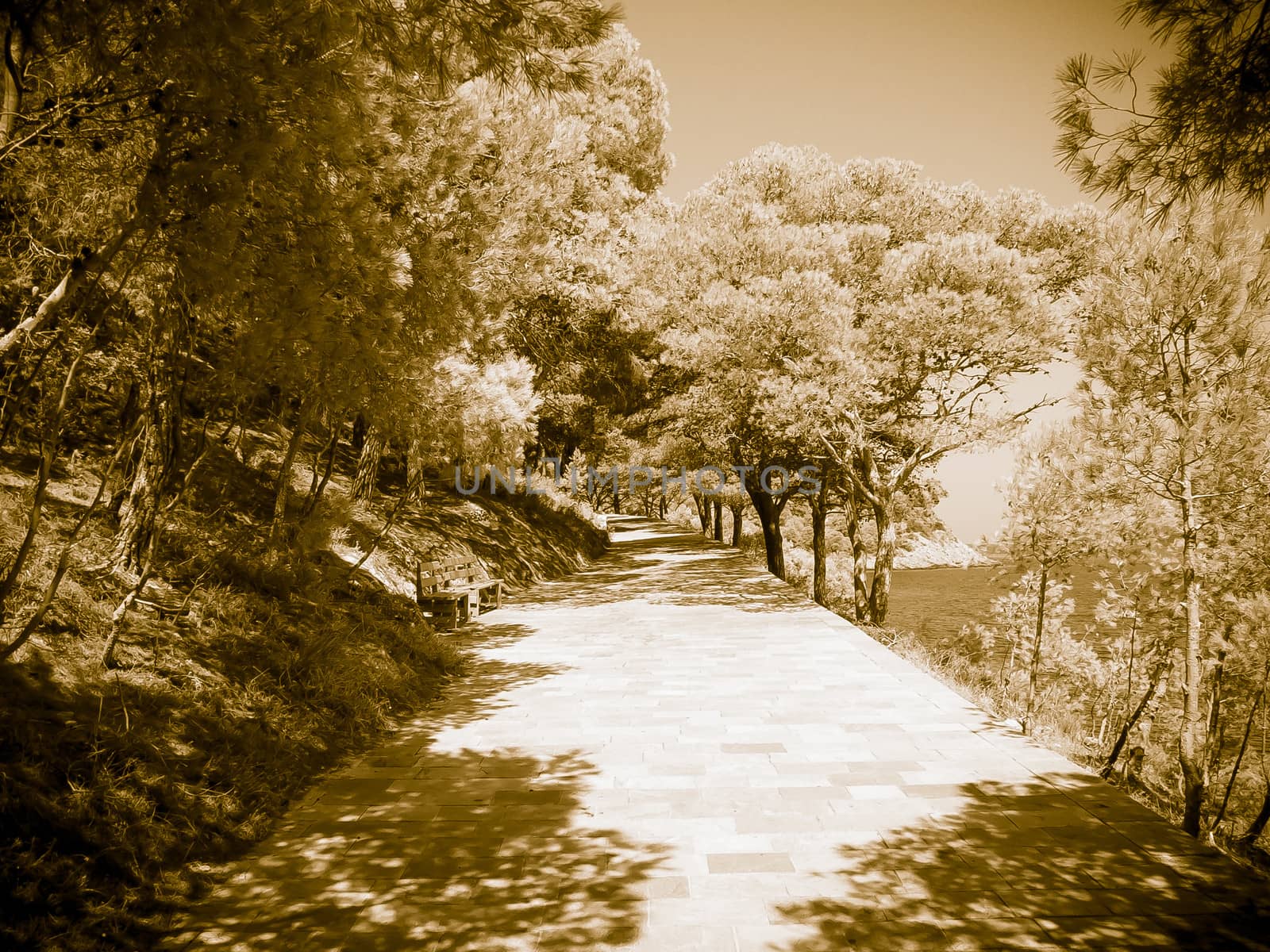 Black and white stone Path Near The Sea