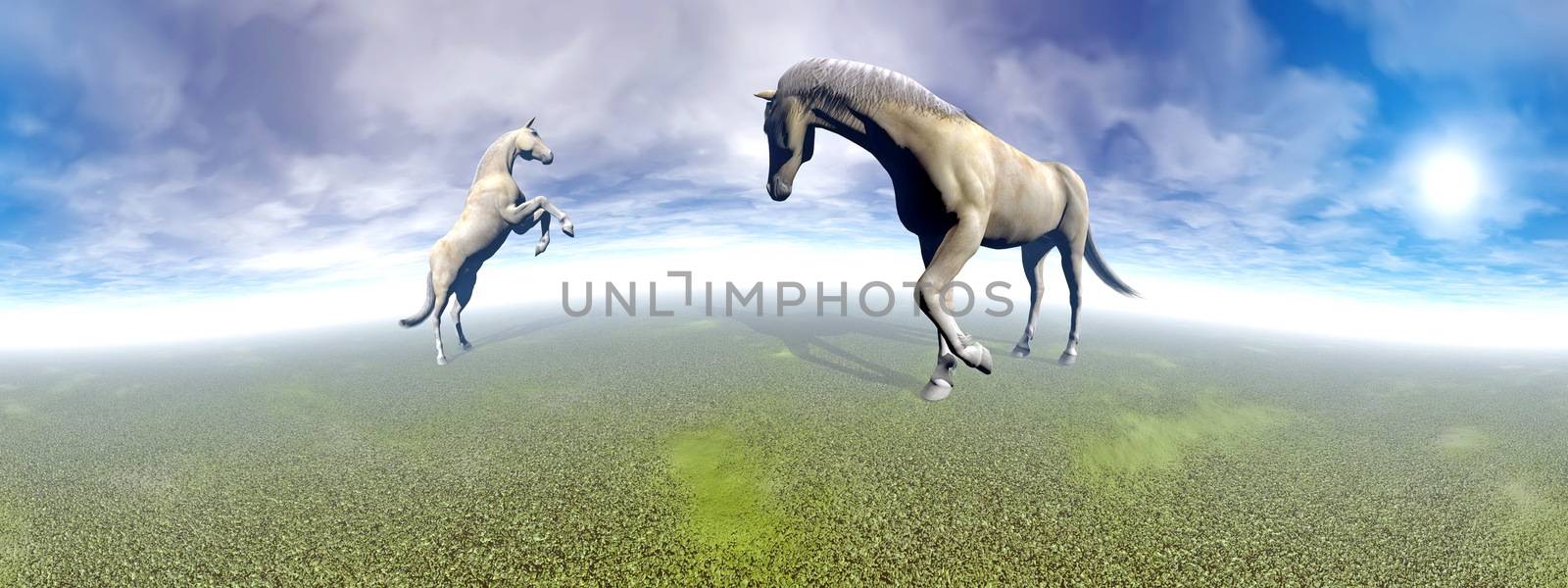 Beautiful white horses, one rearing, in green landscape with shining sun, 360 degrees effect