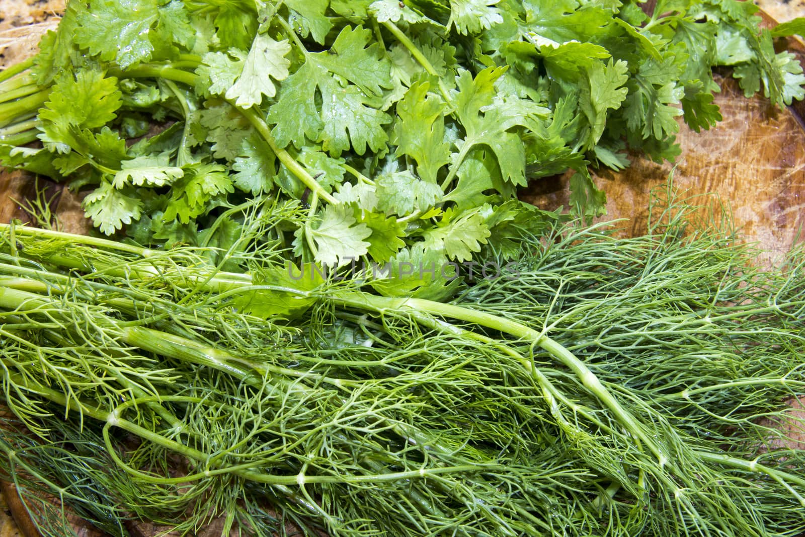 Fresh dill and coriander herbs on a chopping board