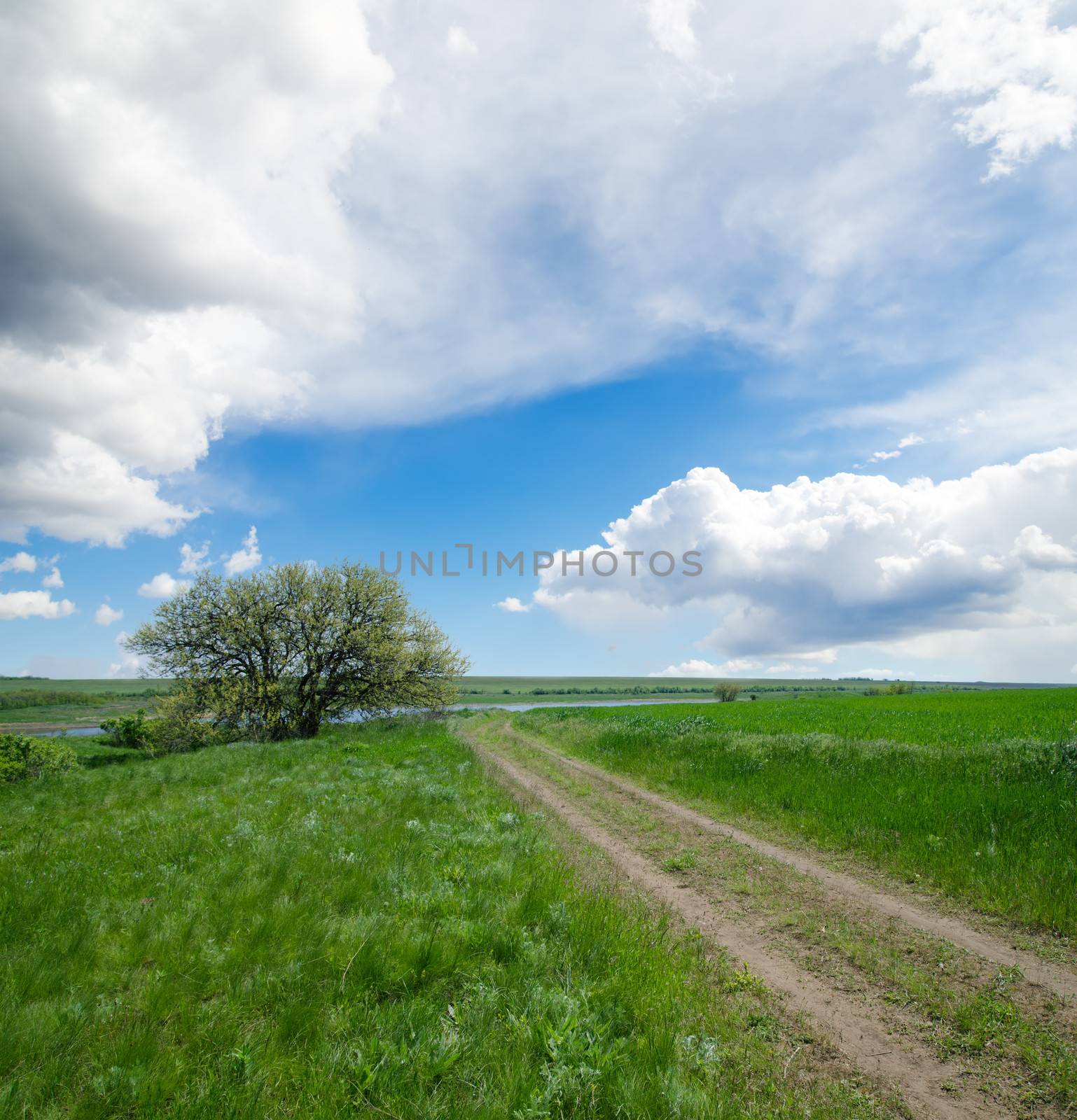 rural road under cloudy sky with tree