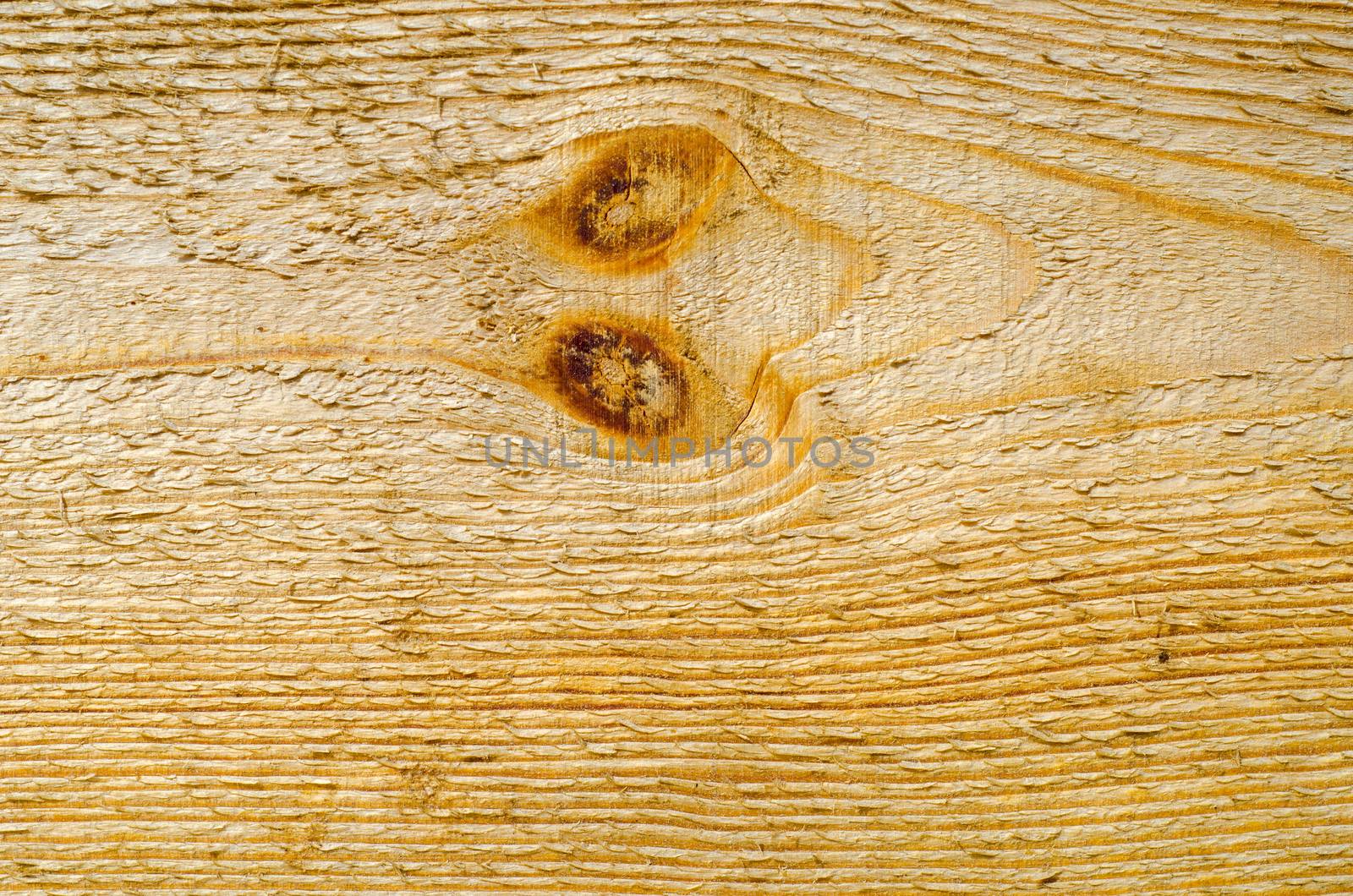 wood closeup as textured background