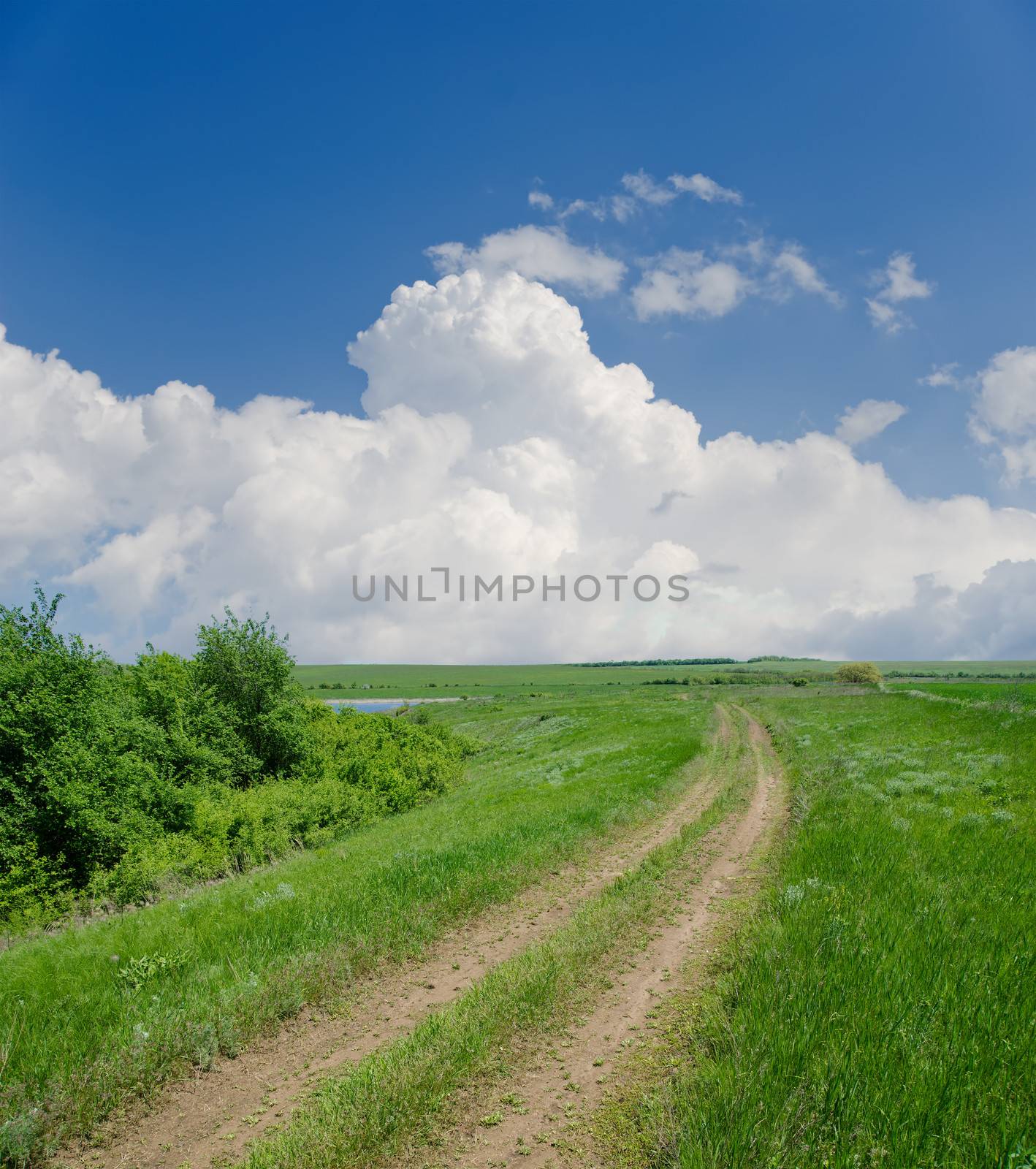 rural road under clouds by mycola