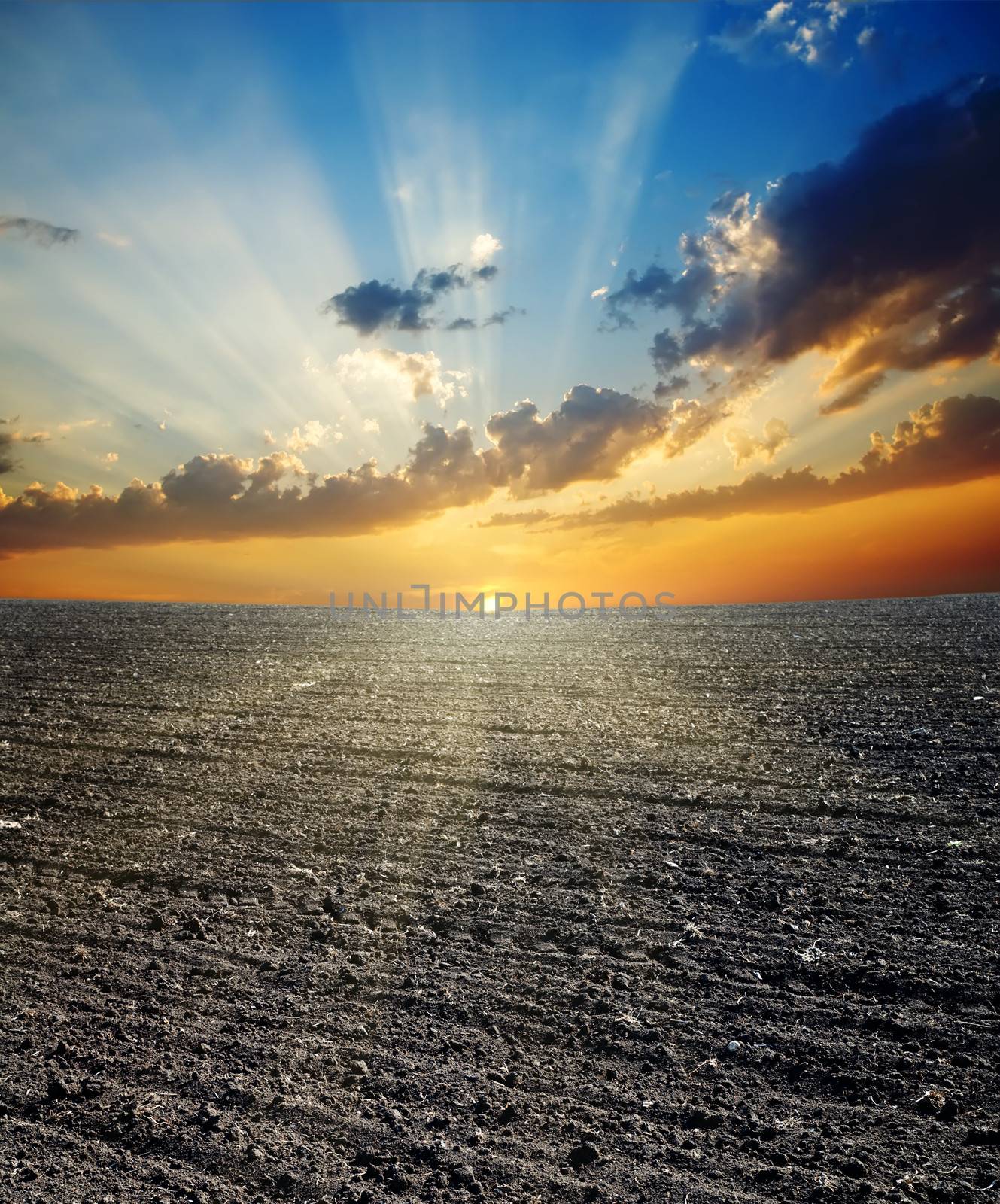 black ploughed field and sunset by mycola