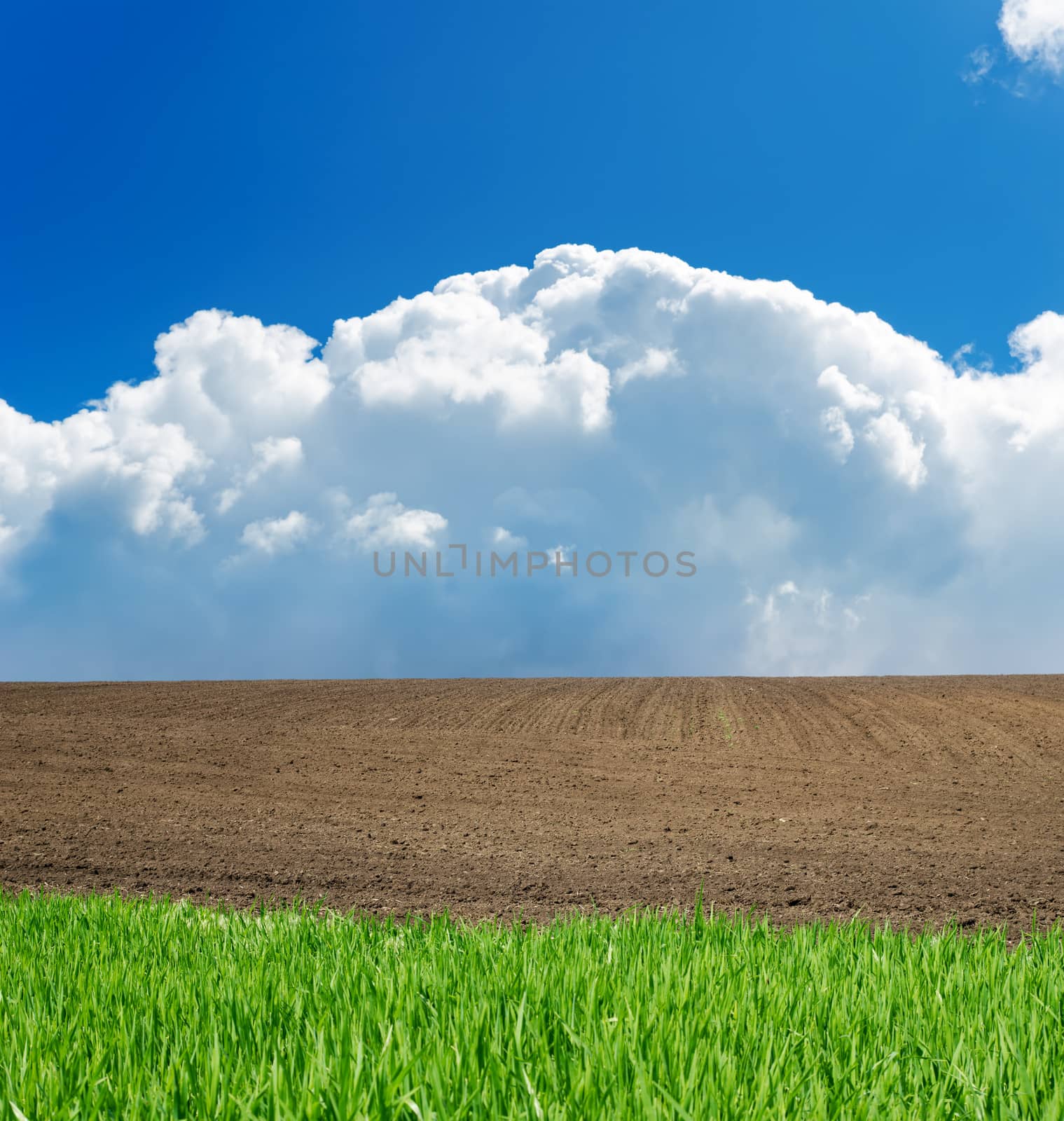 green, black, white and blue landscape