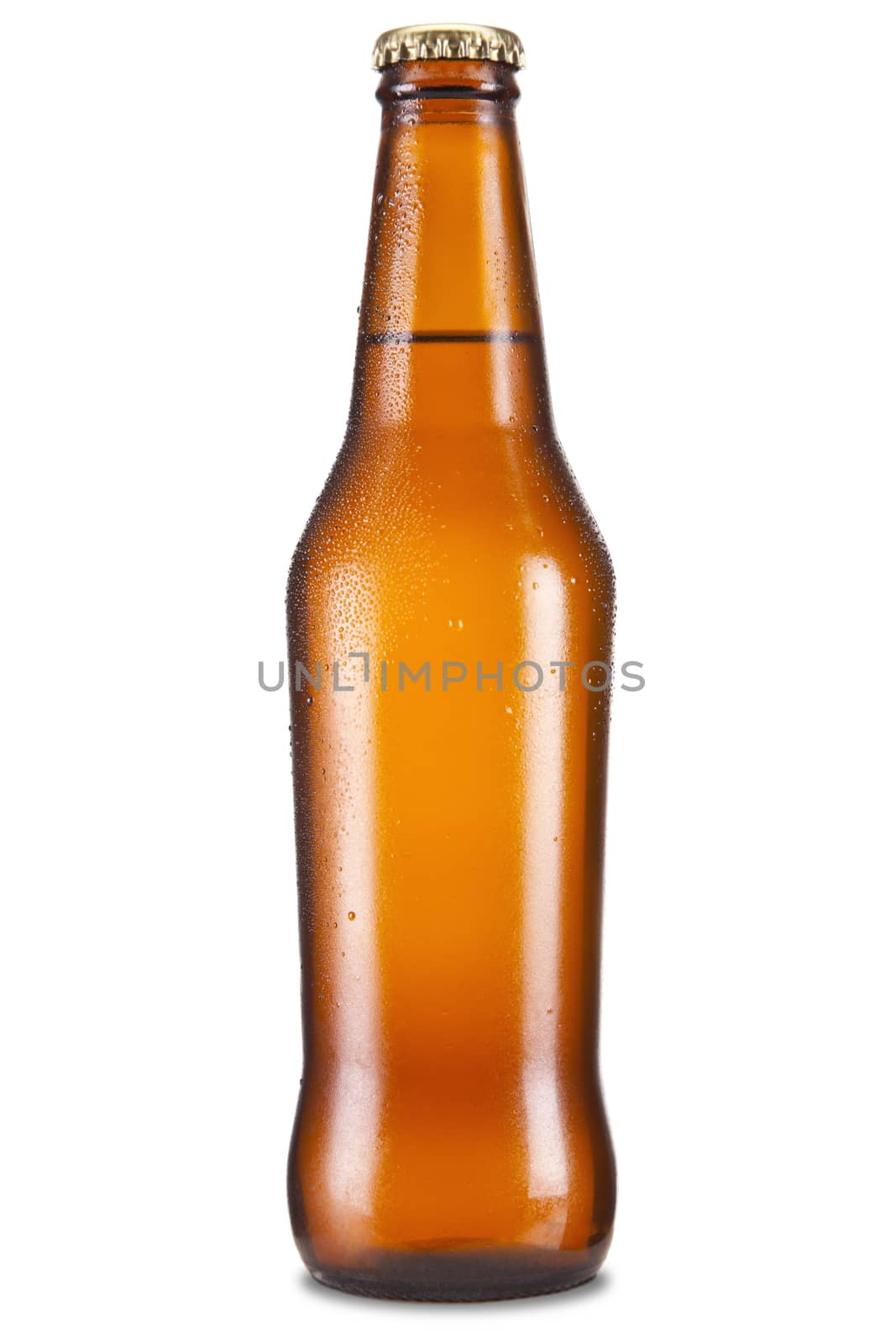 A bottle of beer isolated over a white background.