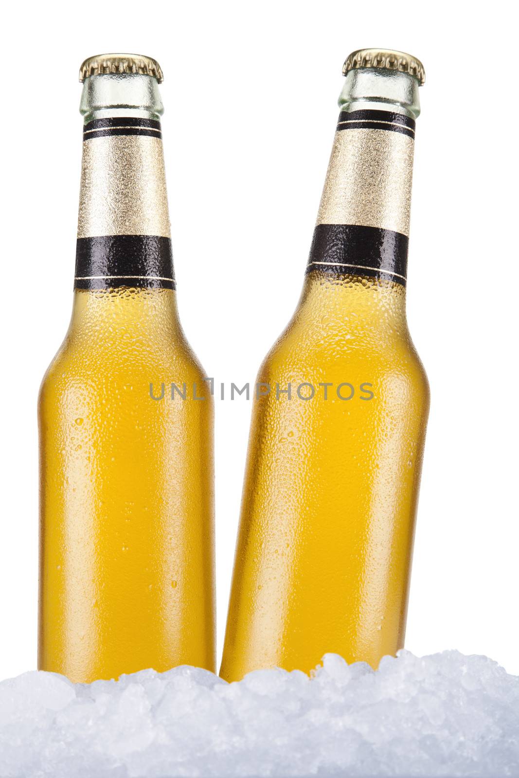 Two beer bottles sitting on ice over a white background.