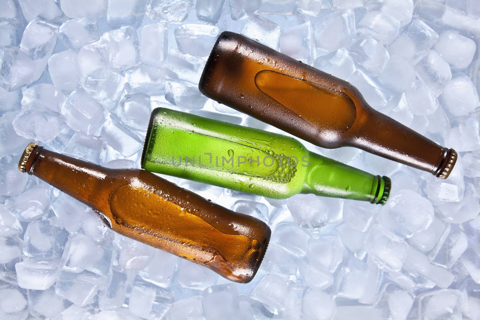 Three bottles of beer cooling on ice.