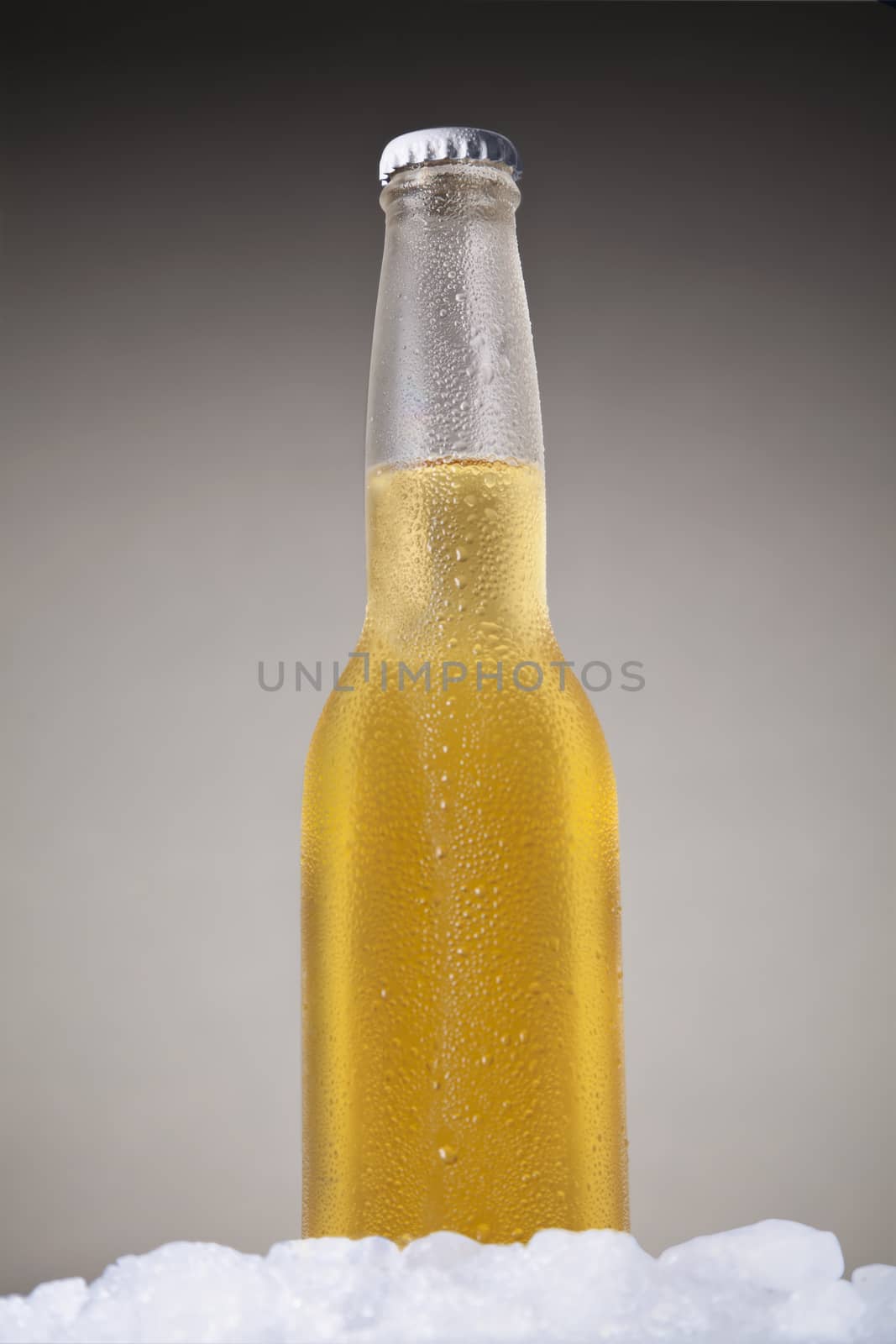 Mexican beer sitting on ice over a gray background.