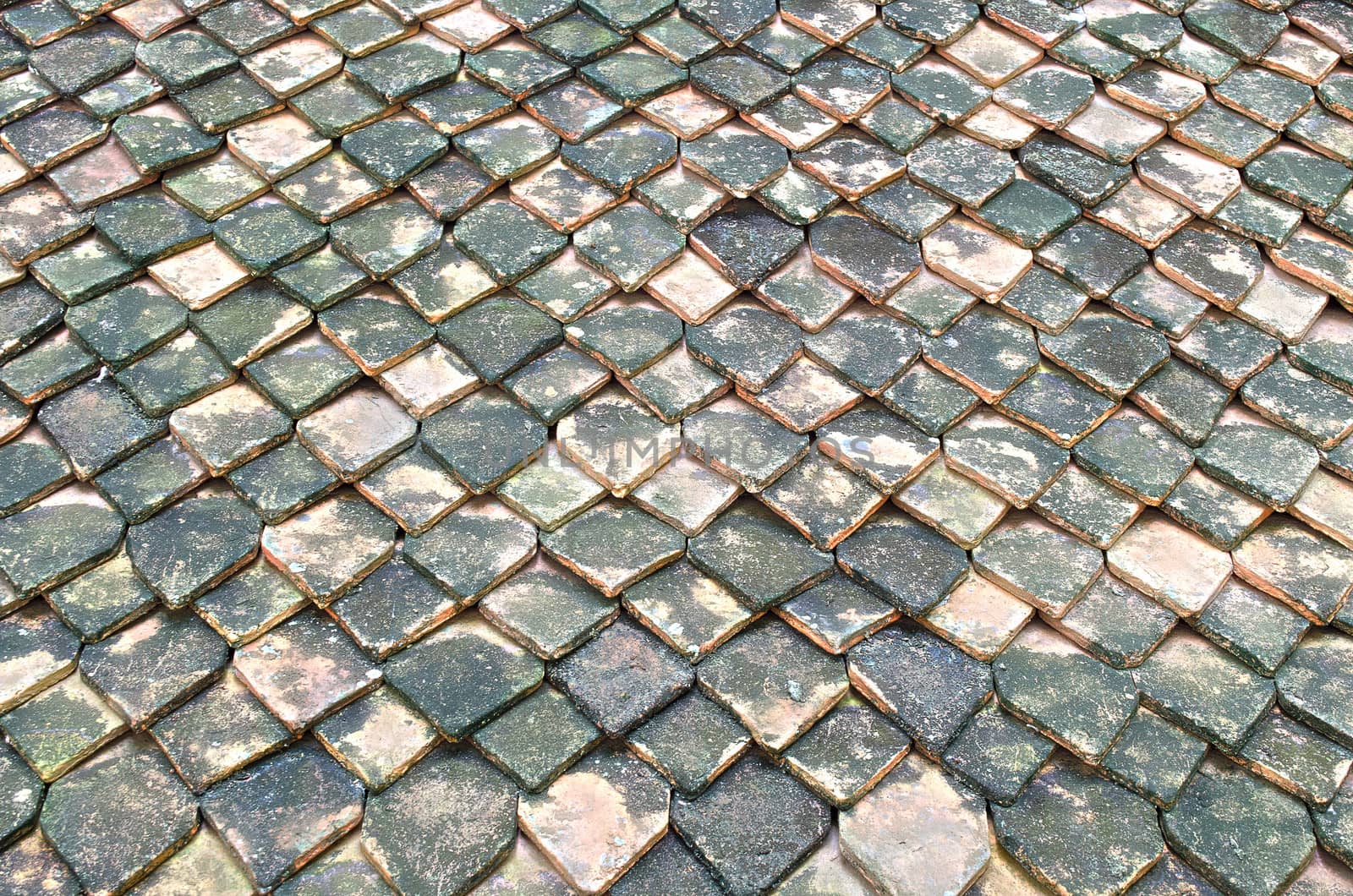 The Roof Tiled with Baked Clay Material.