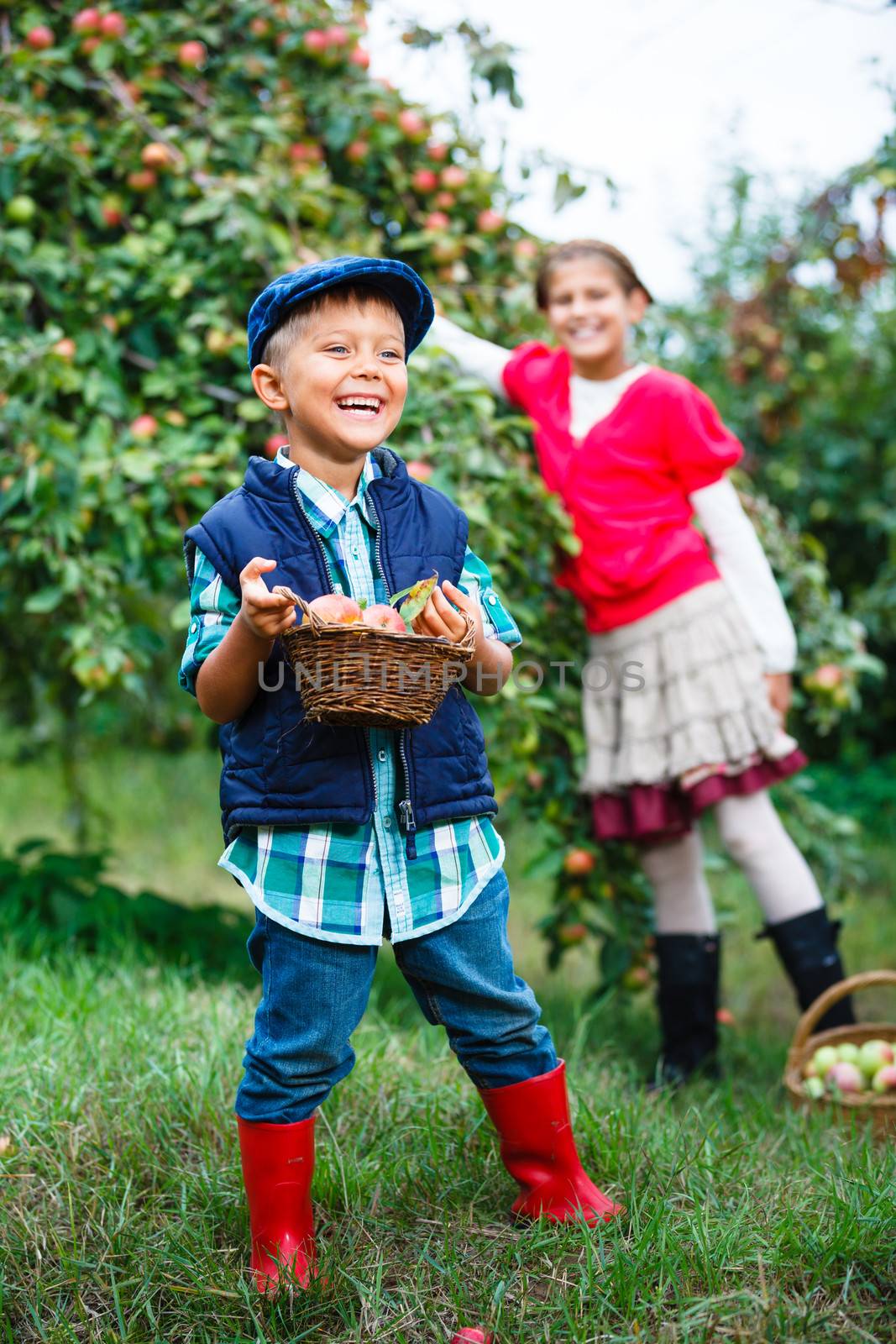 Cute boy in apple orchard by maxoliki