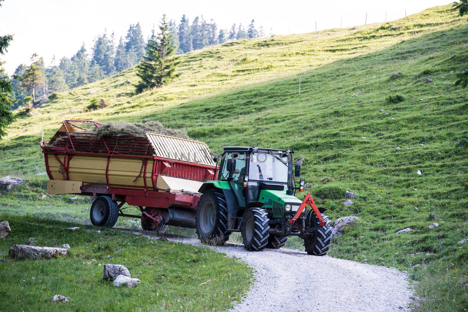 hay harvest - tractor with trailor full of freshly cut hay in the Bavarian Alps