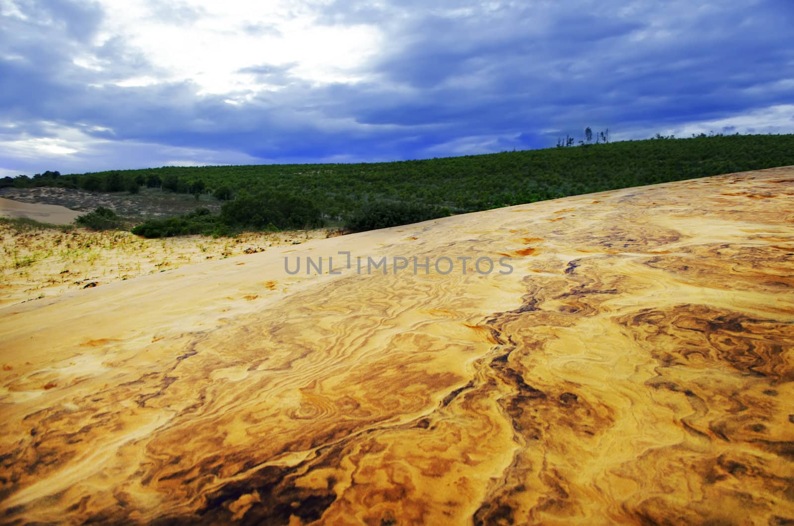 Red Sand Dunes After Rain . by GNNick