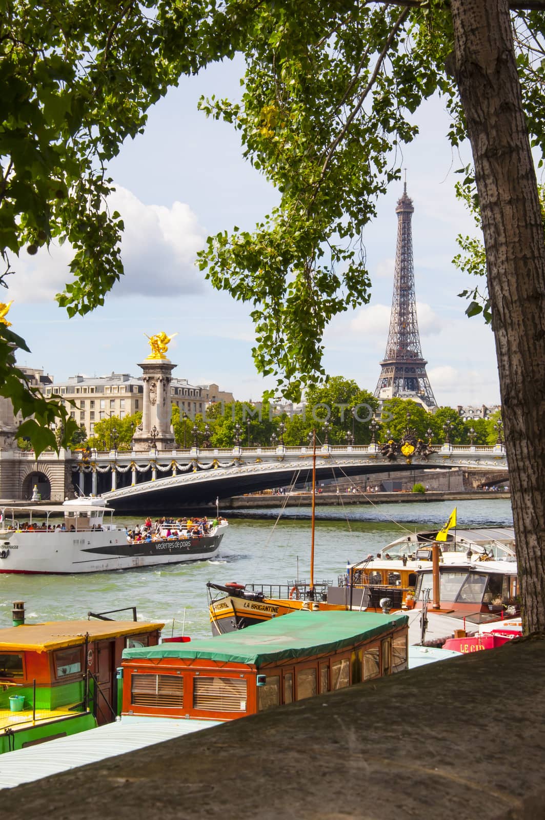 Eiffel tower in Paris by sognolucido