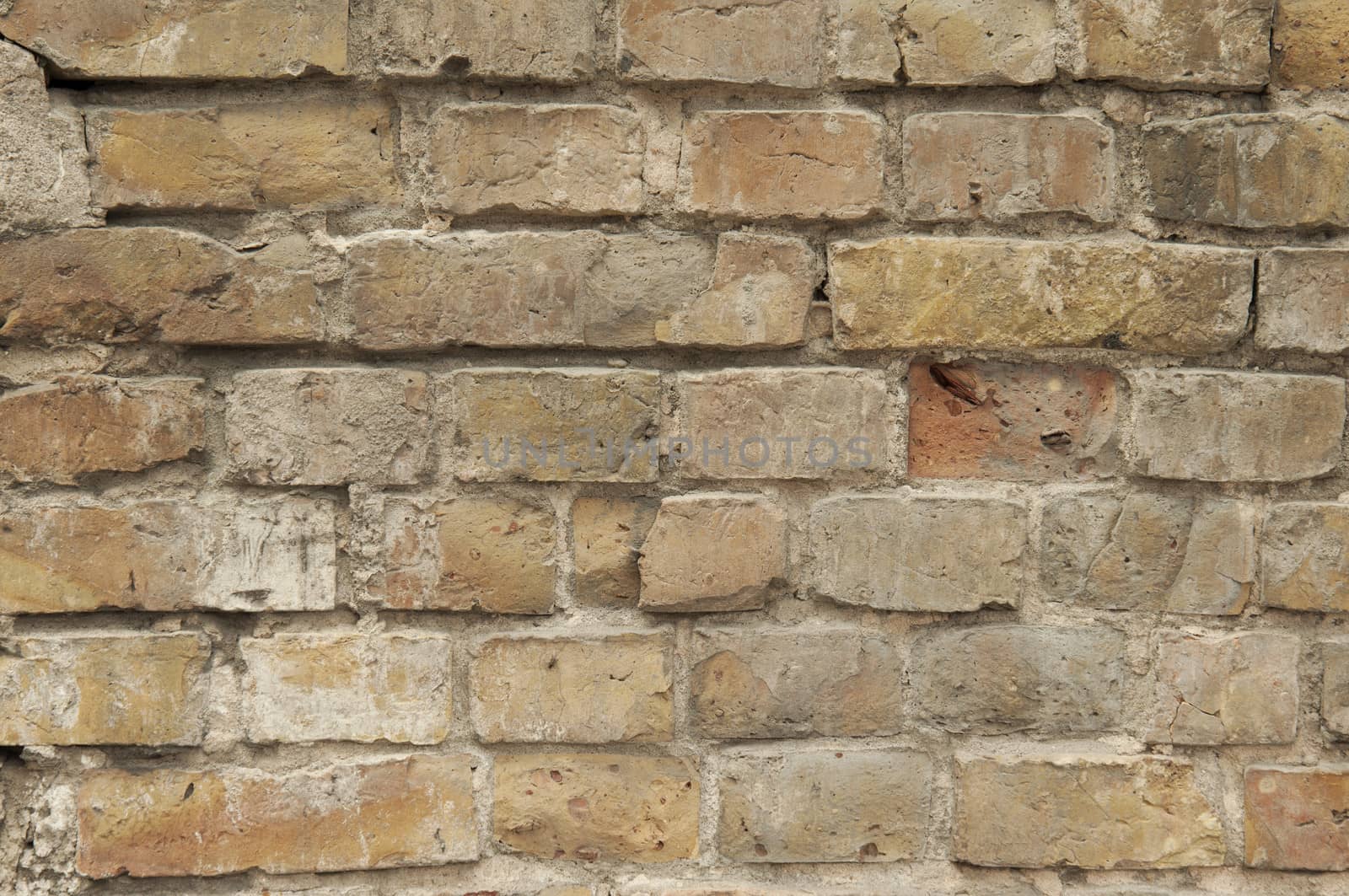 Brick Wall Texture by rodrigobellizzi
