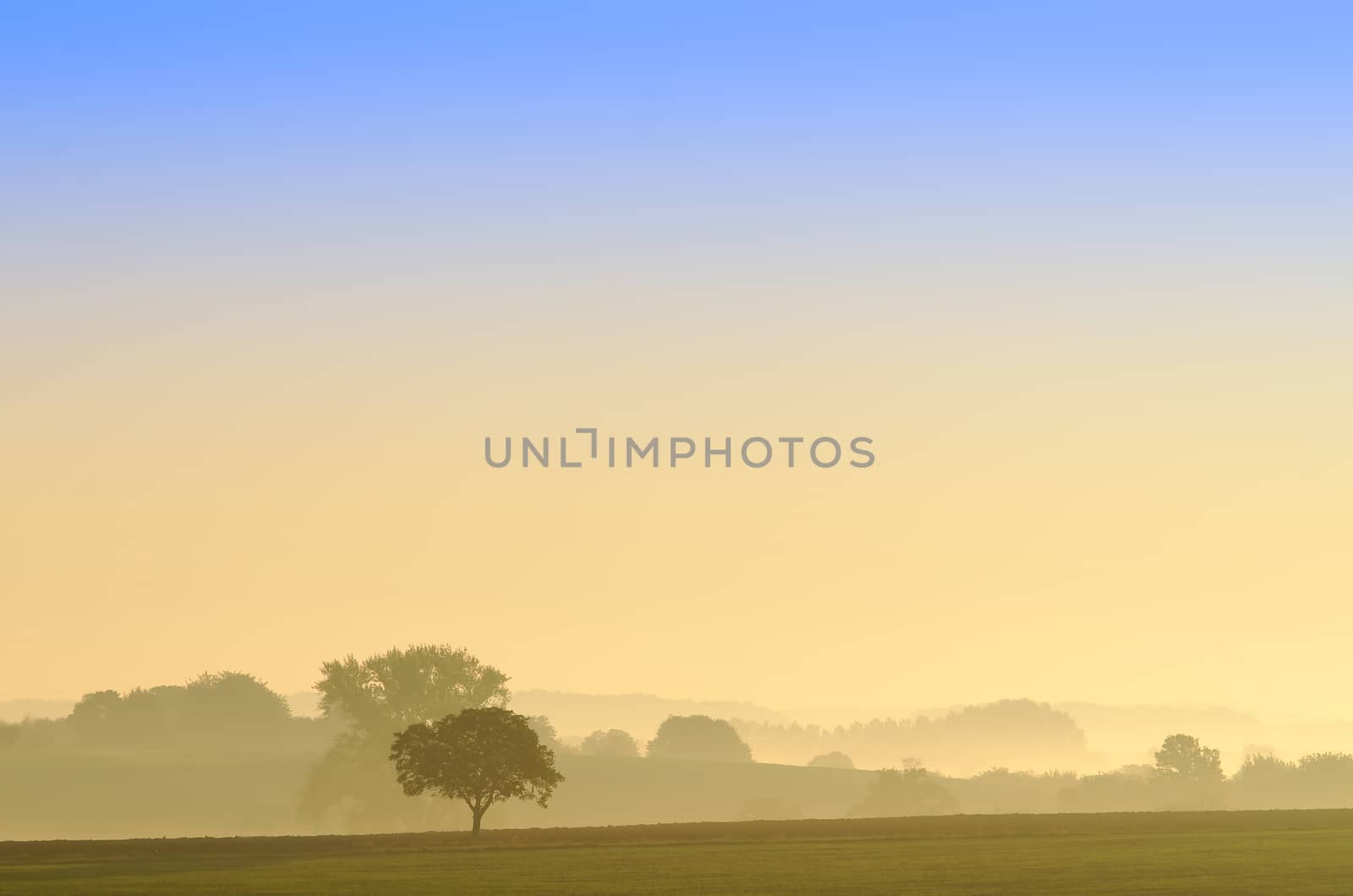 rural scene at dawn