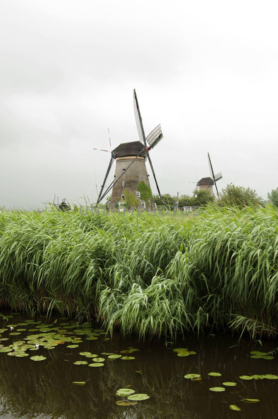 Kinderdijk is a village in the Netherlands, belonging to the municipality of Molenwaard, in the province South Holland, about 15 km east of Rotterdam. Kinderdijk is situated in a polder in the Alblasserwaard at the confluence of the Lek and Noord rivers. To drain the polder, a system of 19 windmills was built around 1740. This group of mills is the largest concentration of old windmills in the Netherlands. The windmills of Kinderdijk are one of the best-known Dutch tourist sites. They have been a UNESCO World Heritage Site since 1997.