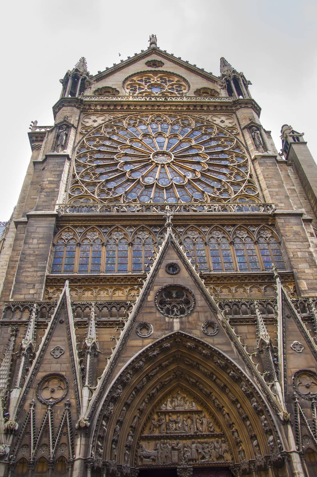 Cathedral of Notre Dame in Paris