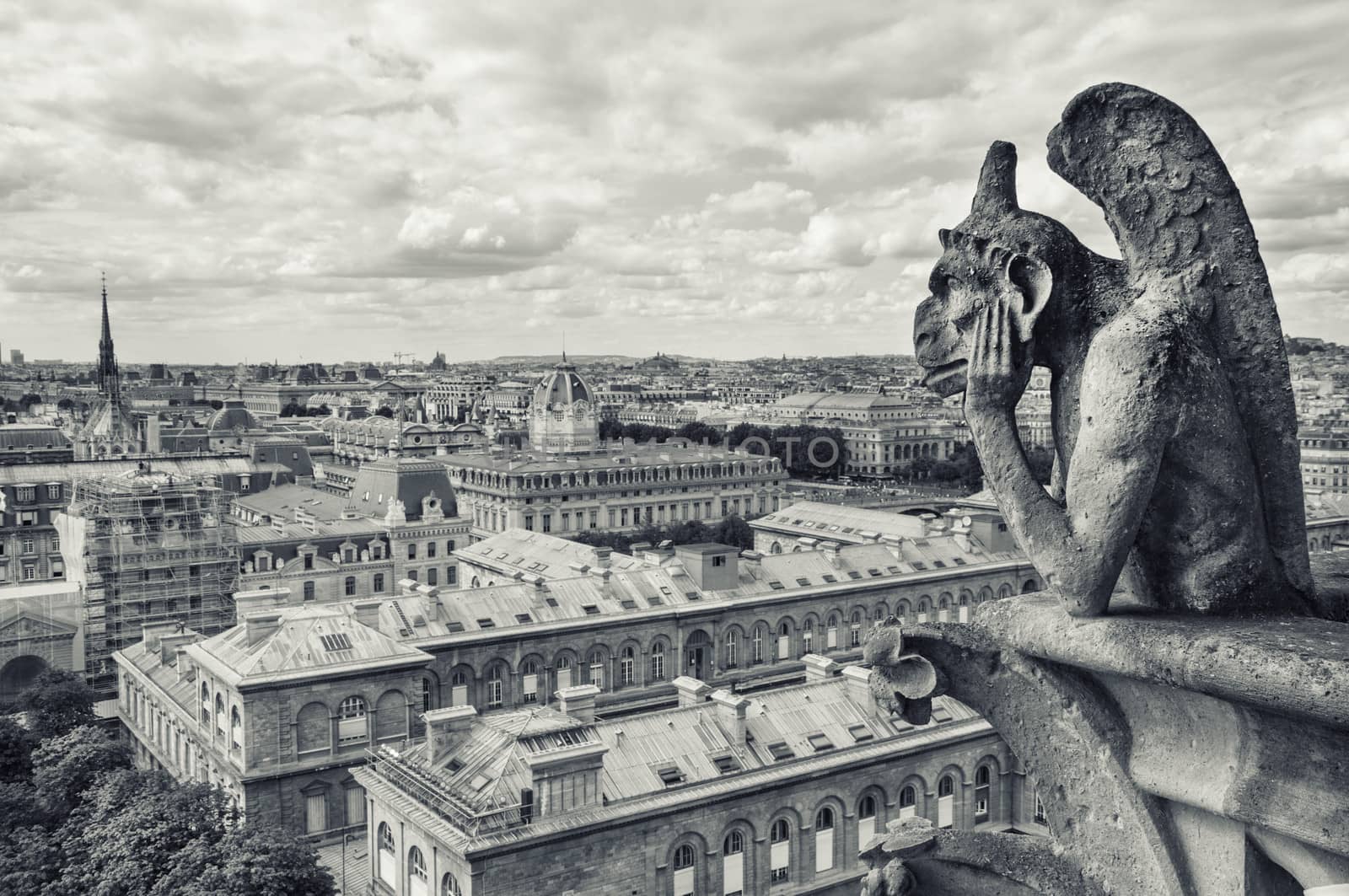 view from the Cathedral of Notre Dame in Paris