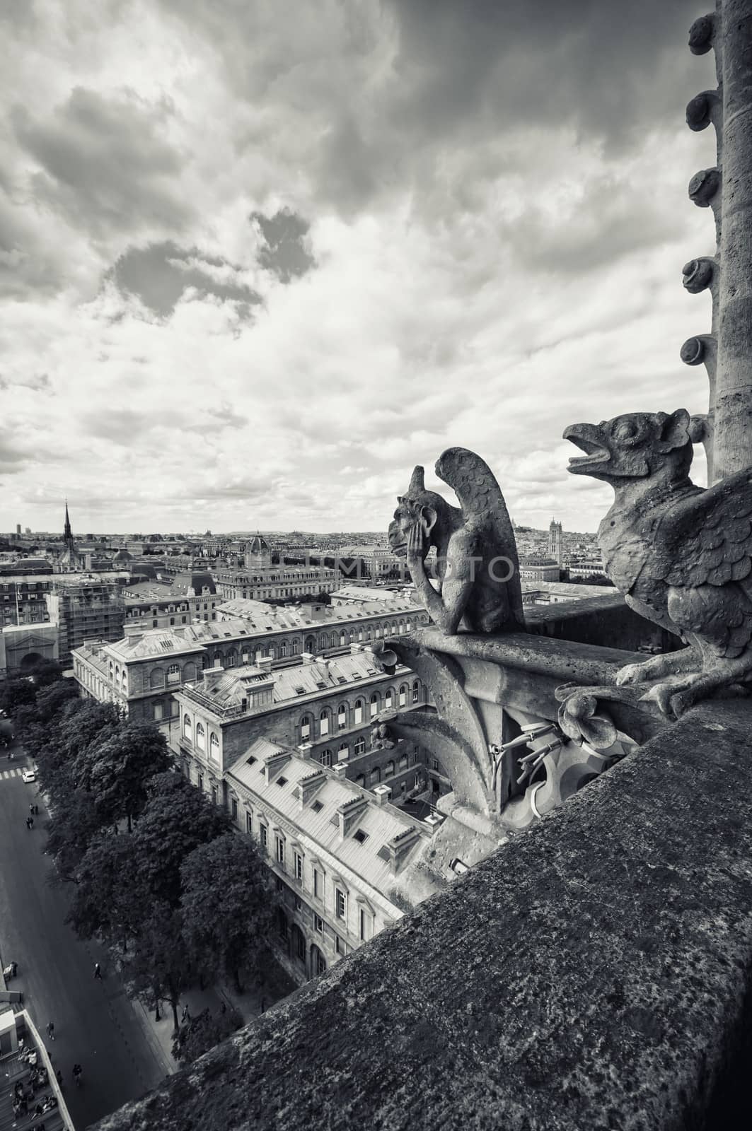 Cathedral of Notre Dame in Paris by sognolucido