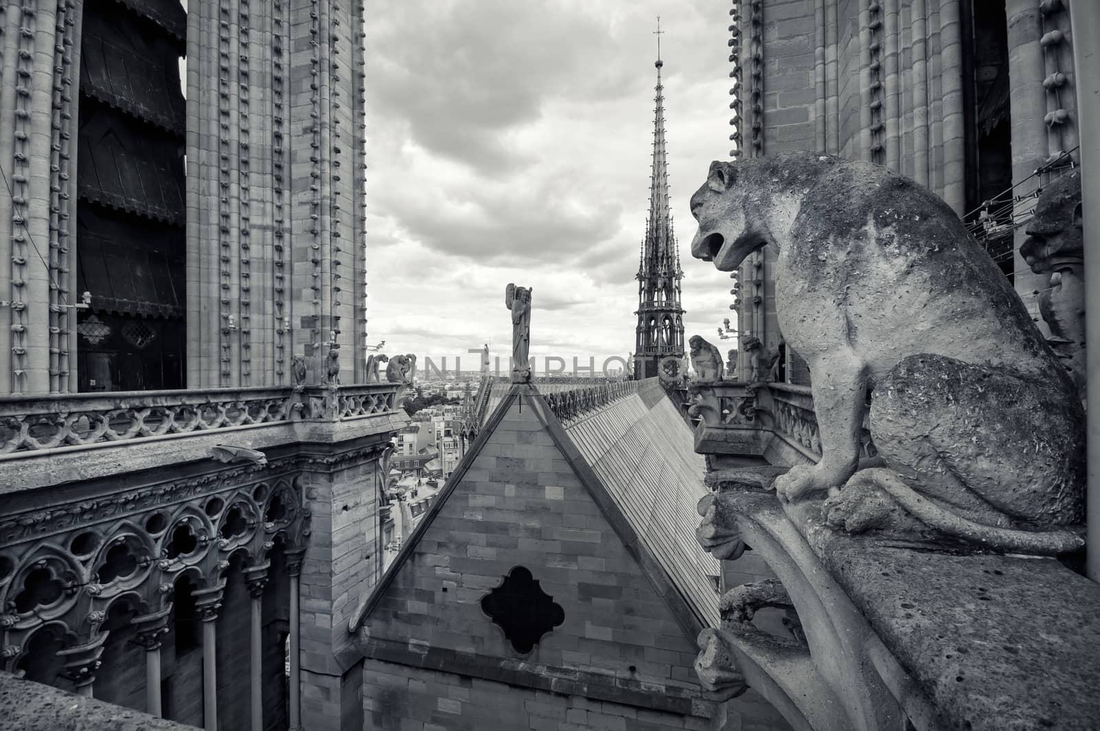 Cathedral of Notre Dame in Paris by sognolucido