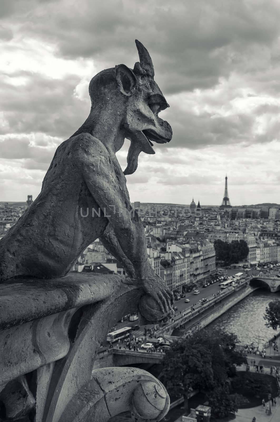 view from the Cathedral of Notre Dame in Paris