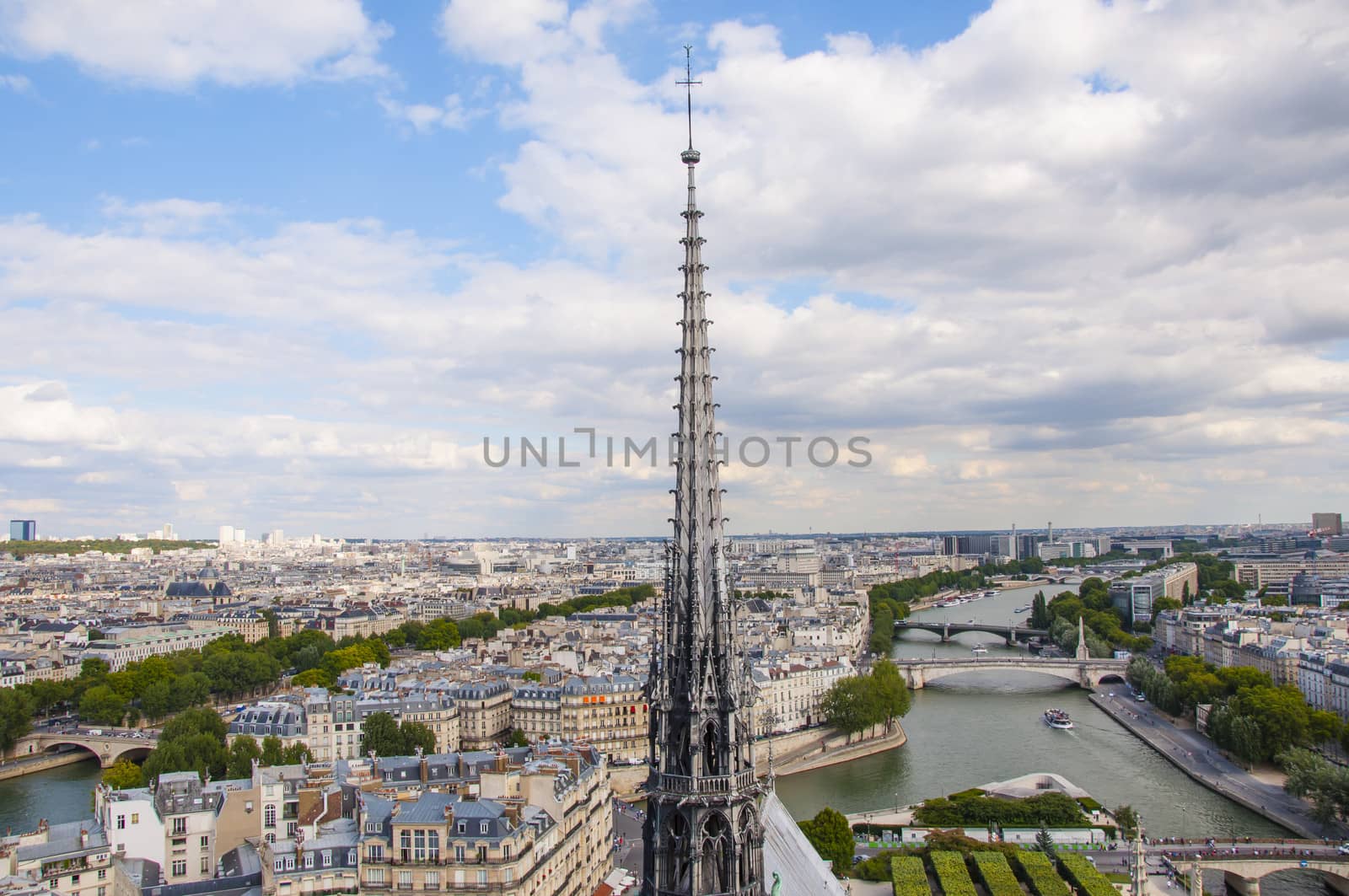 view from the Cathedral of Notre Dame in Paris