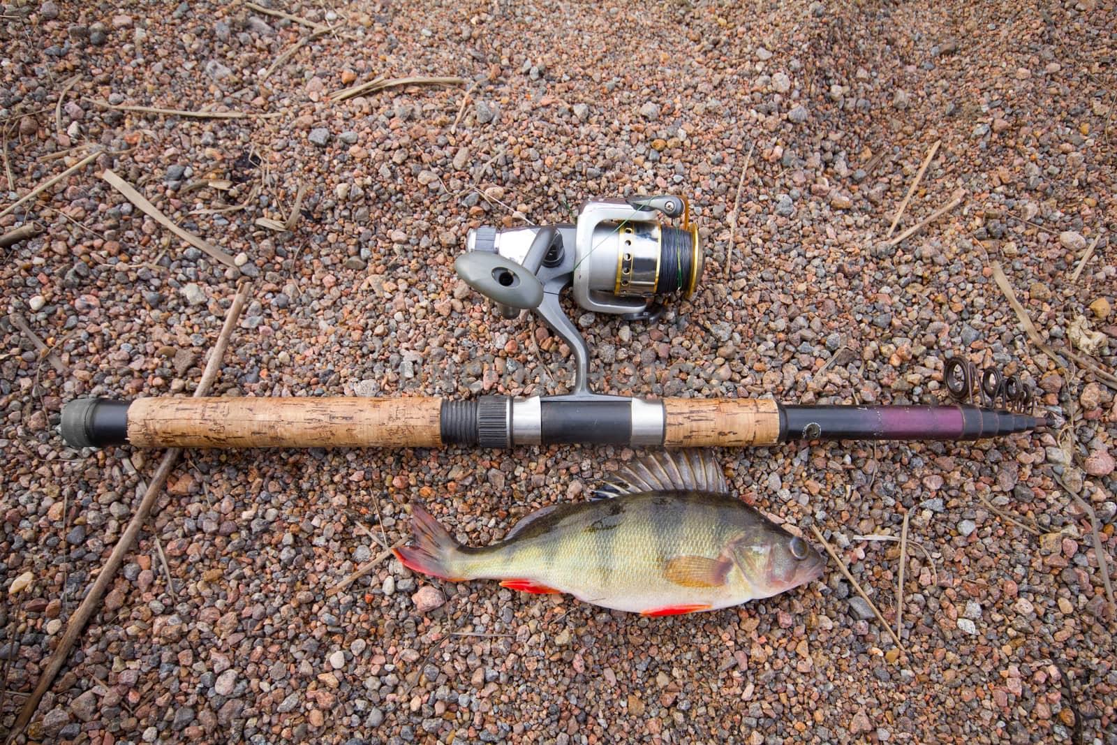 the perch from the forest lake