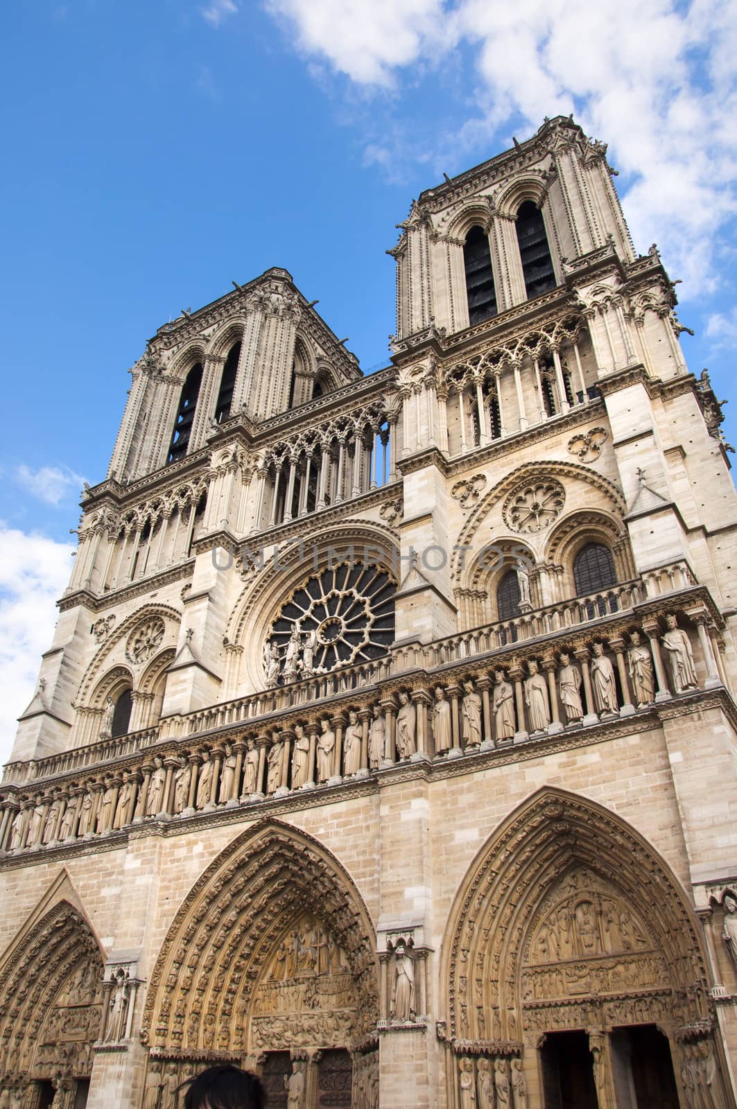 Cathedral of Notre Dame in Paris by sognolucido