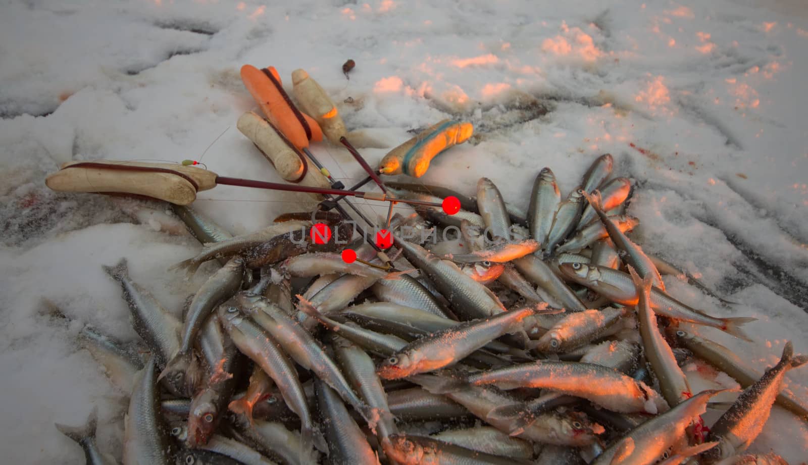 fishing on the Baltic Sea