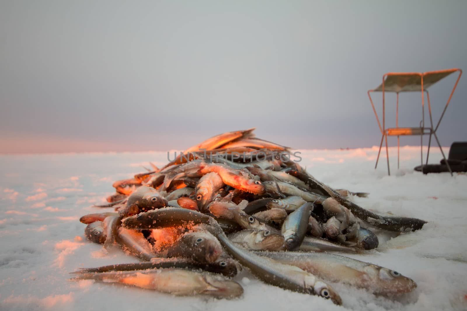 fishing on the Baltic Sea