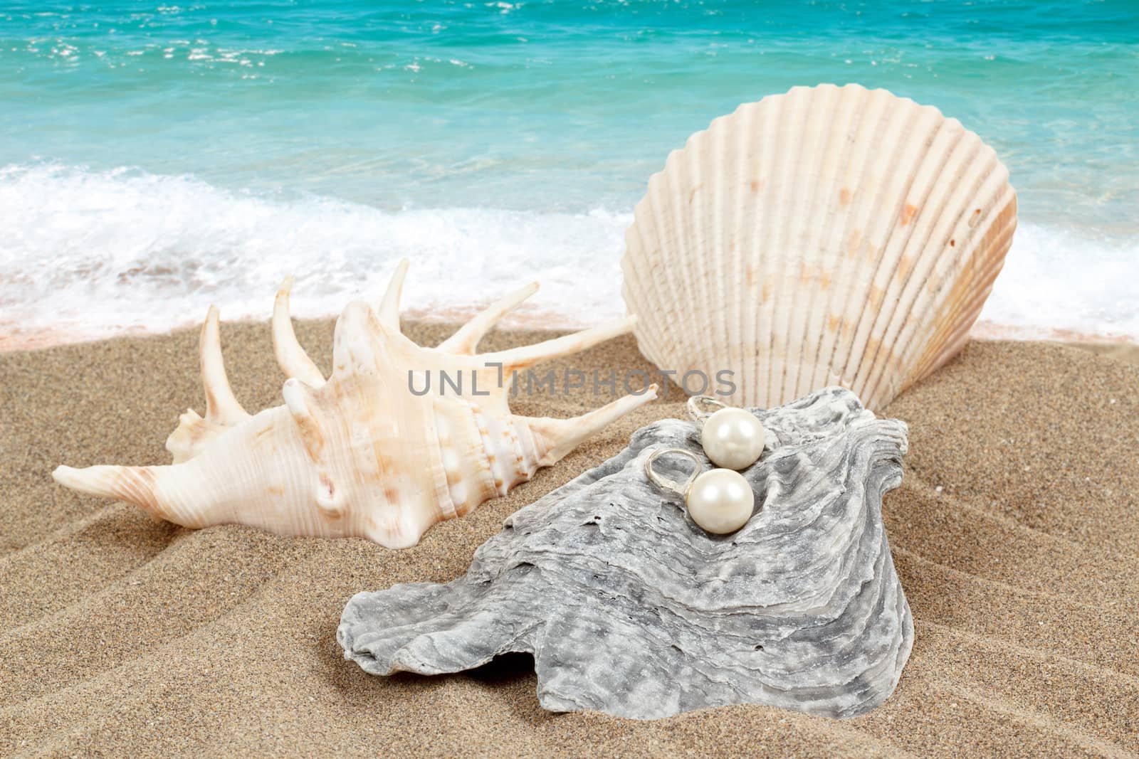 two pearl earrings and shells on sand with sea background