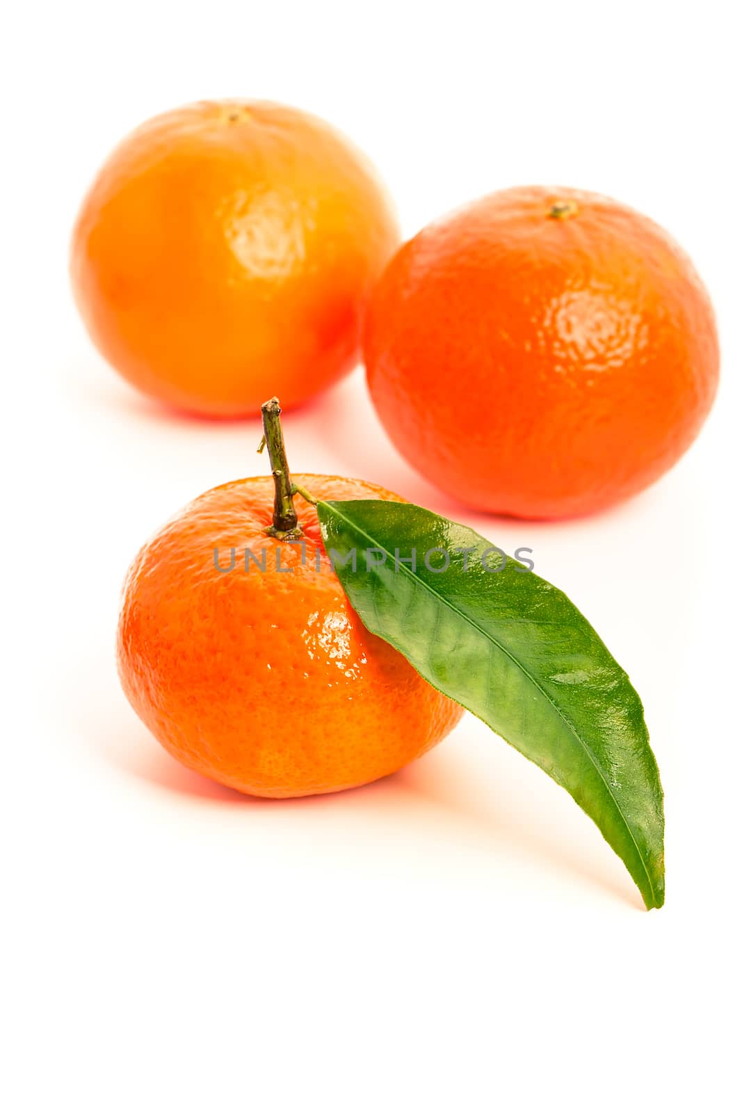 orange mandarins with green leaf isolated on white background

 by motorolka