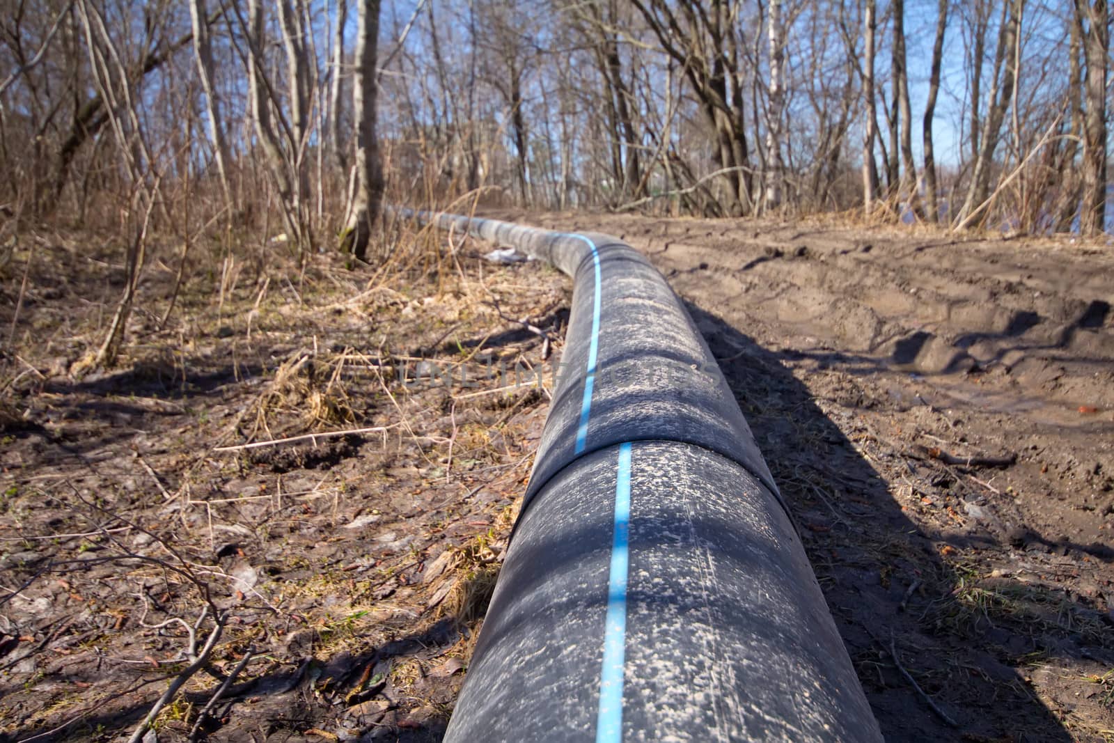 the pipeline among the nature in the country