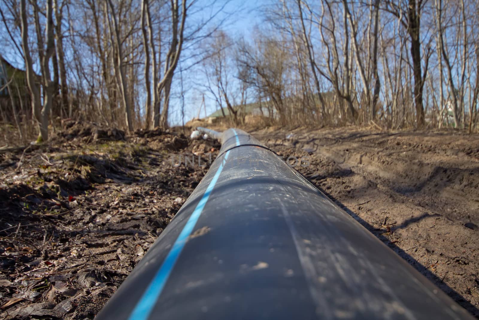 the pipeline among the nature in the country