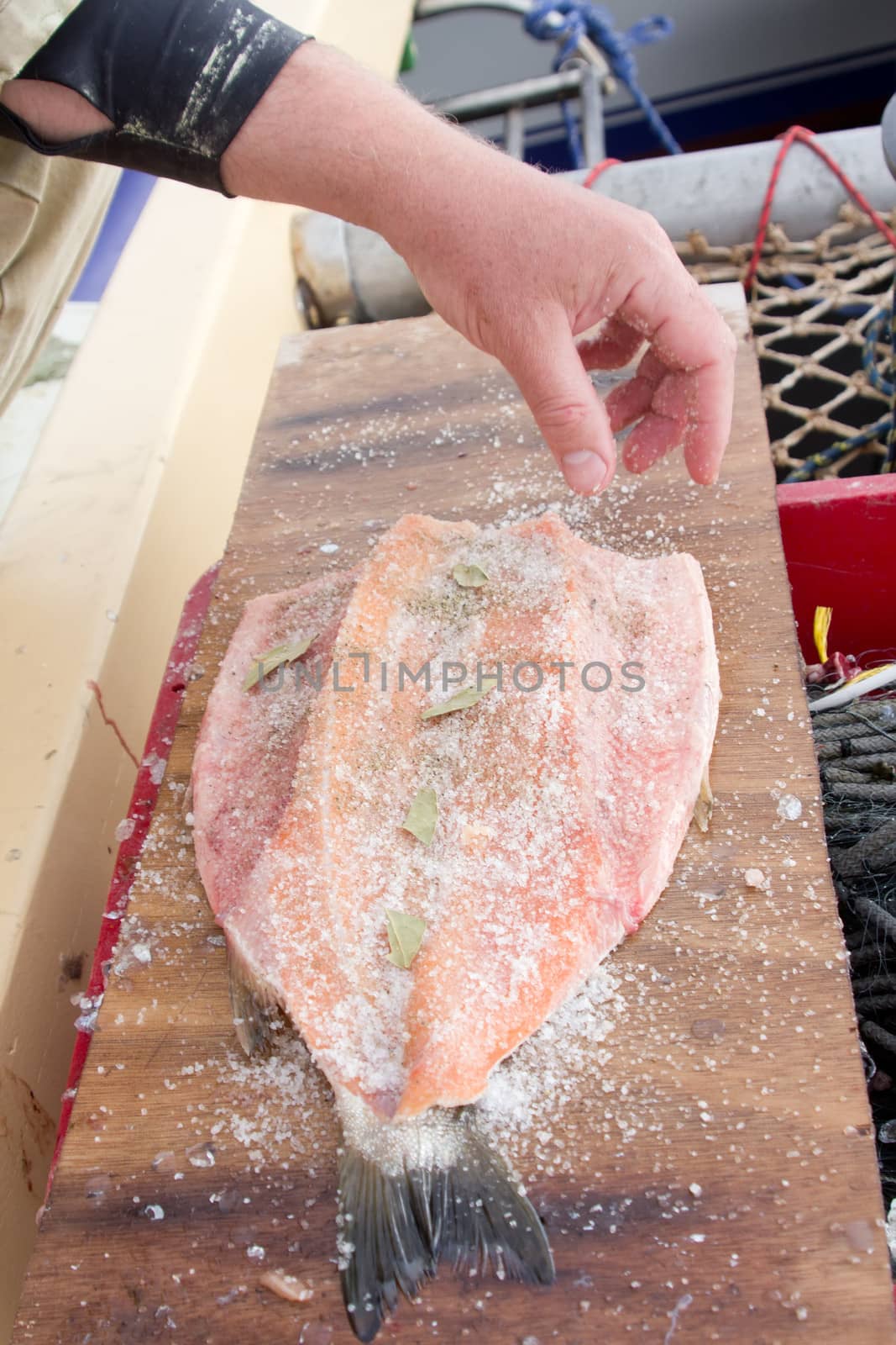 process of salting of fresh sea fish