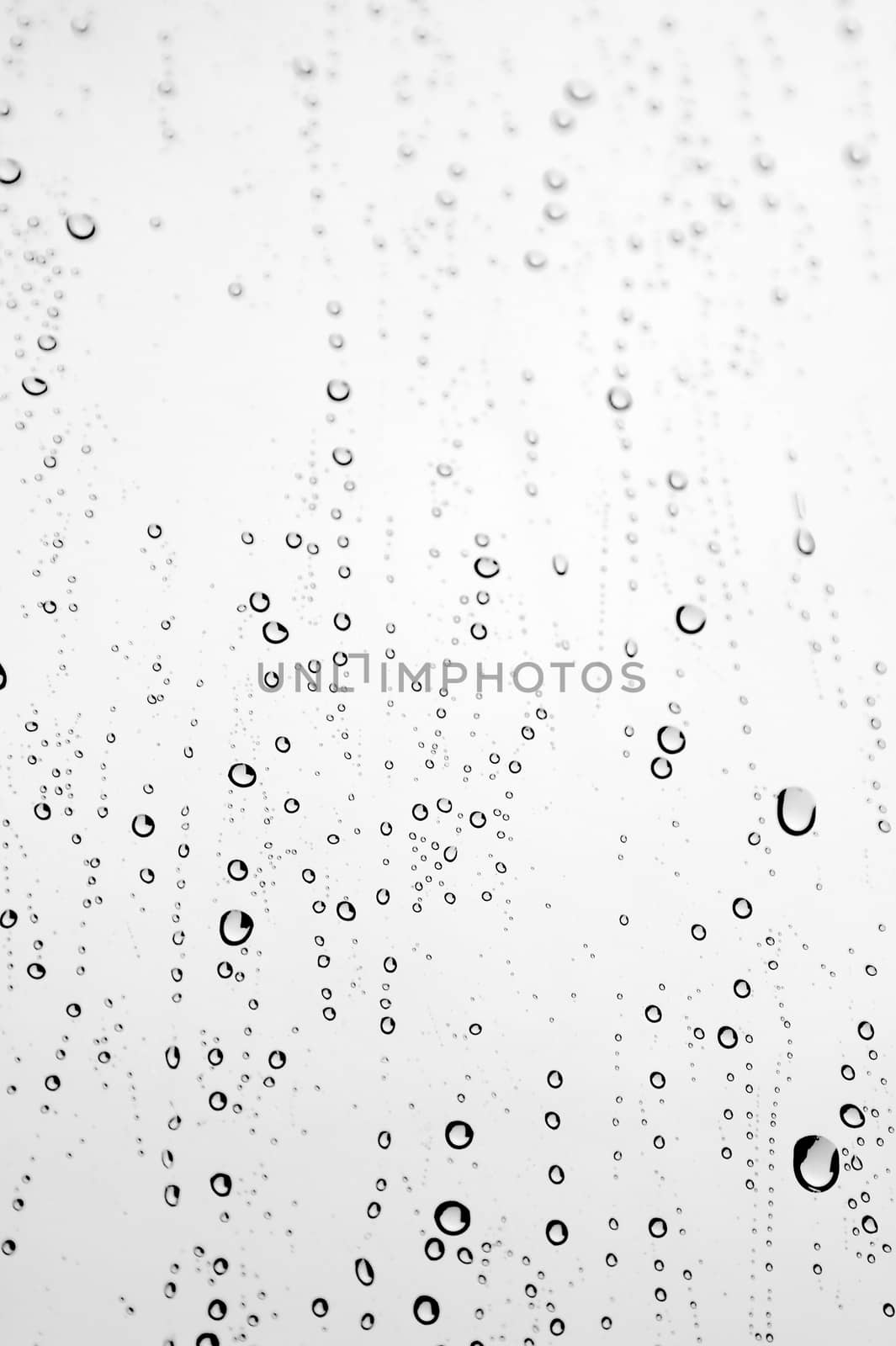 Drops of rain on the inclined window (glass). Shallow DOF.