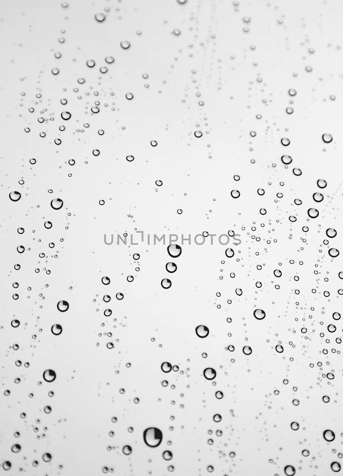 Drops of rain on the window (glass). Shallow DOF.