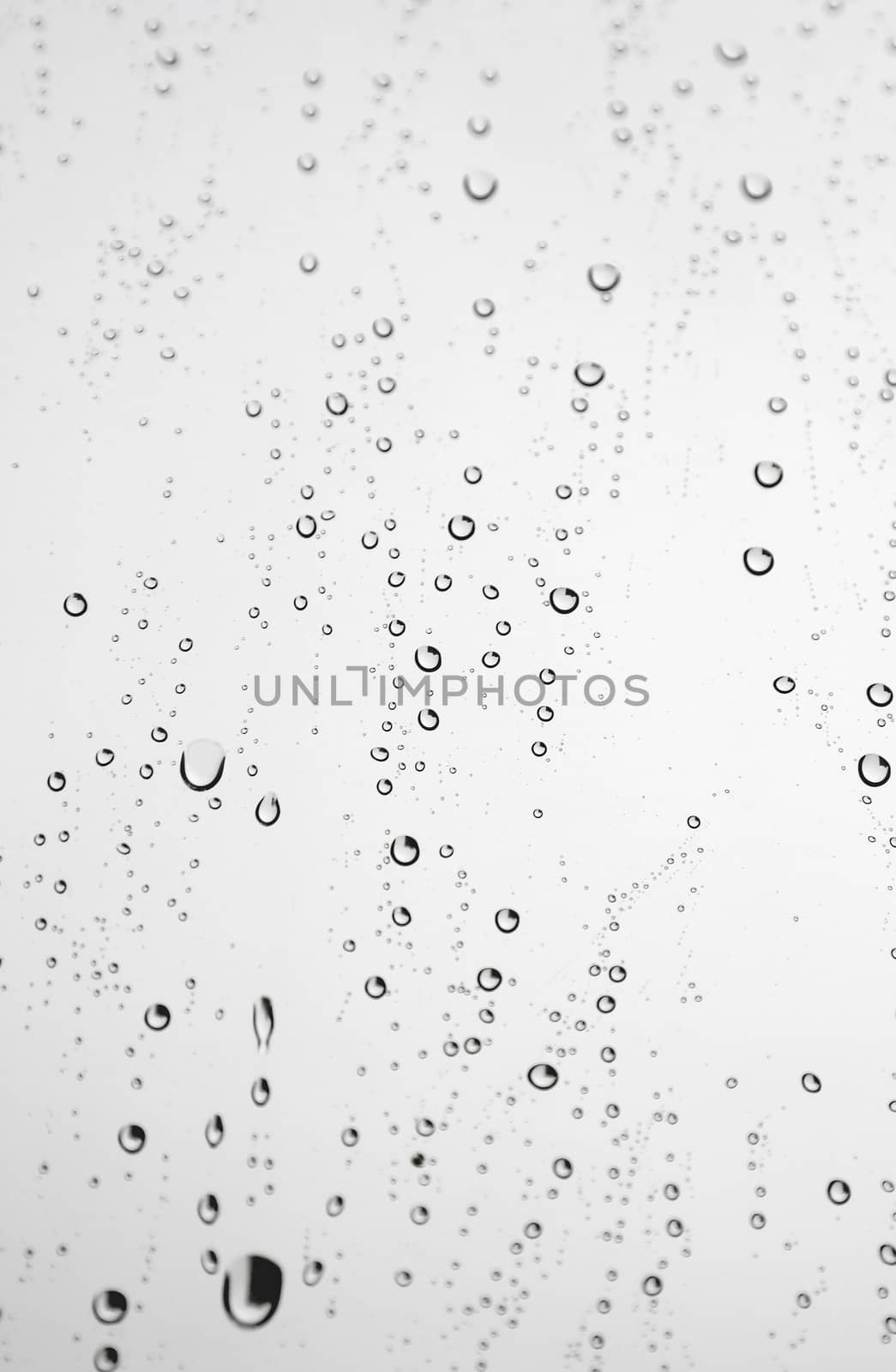 Drops of rain on the window (glass). Shallow DOF.