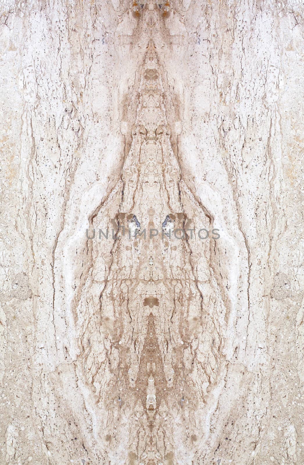 White Marble Texture Background Bone Marble With Thin Line