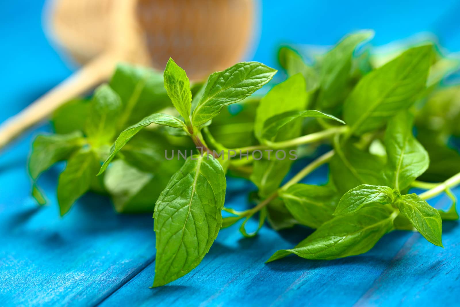 Fresh mint leaves on blue wood with tea strainer in the back (Selective Focus, Focus on the leaves in the front)