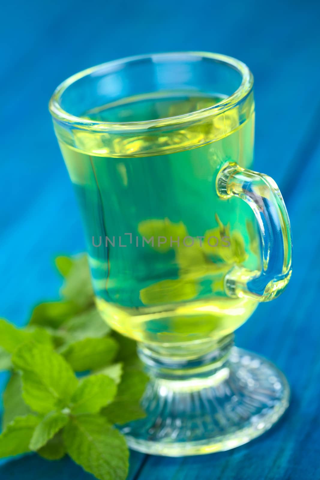 Freshly prepared tea out of the Peruvian herb called Muña (lat. Minthostachys mollis), which is a herbal and medicinal plant with a taste similar to mint, and is either prepared as tea or used as a spice in some regions (Selective Focus, Focus on the front rim of the glass)