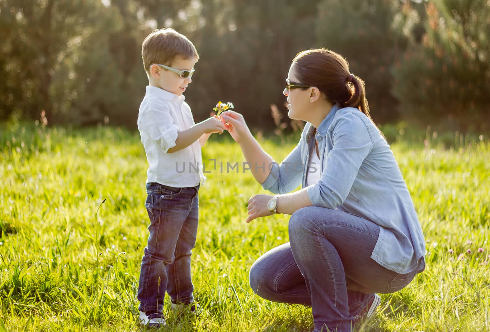 Son giving a bouquet of flowers to his mother in a field by doble.d
