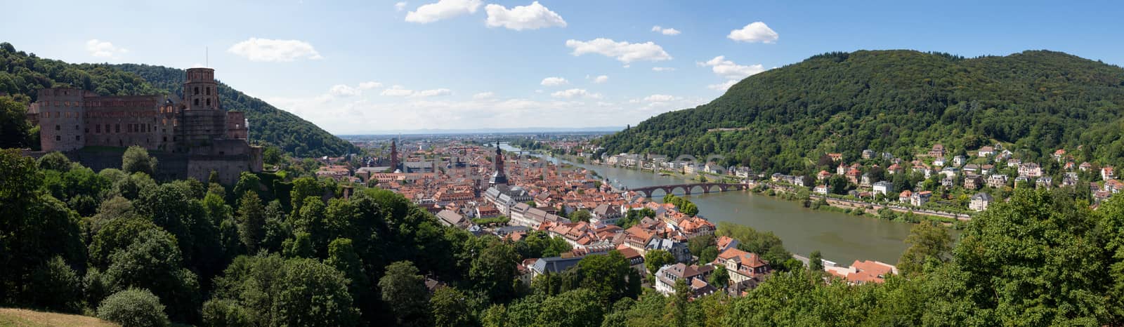 Heidelberg city panorama by juhku