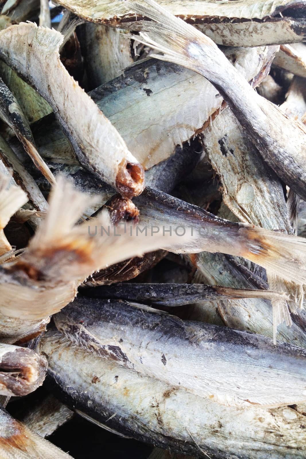 dry salted fish by ponsulak