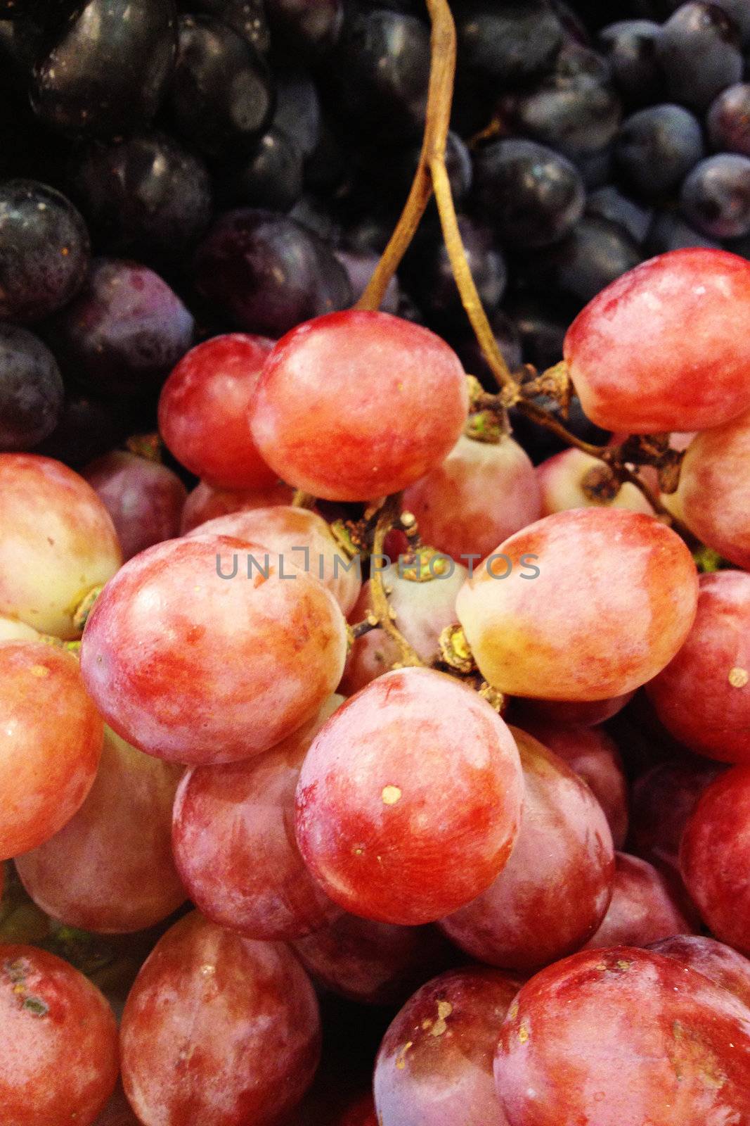 Red Grapes by ponsulak